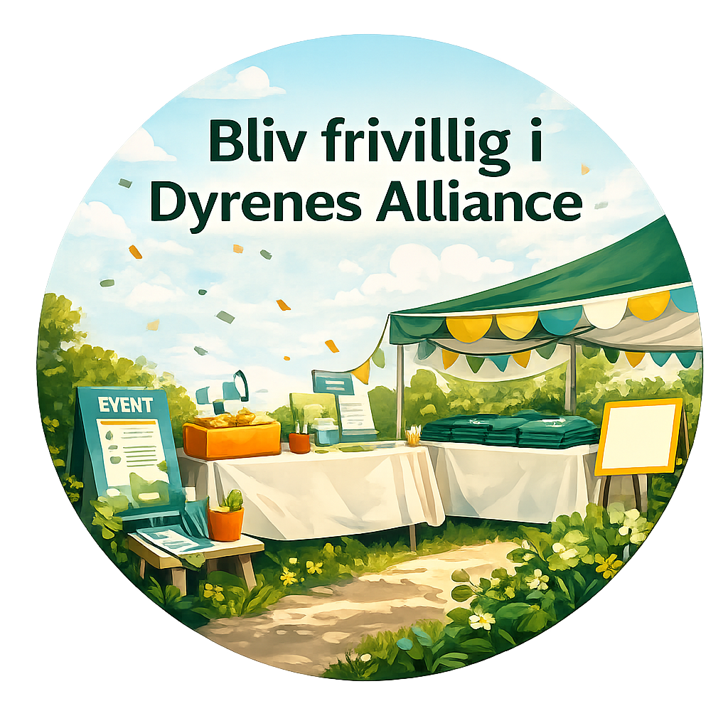 Vil du være frivillig eller lave en aktivitet sammen med os?