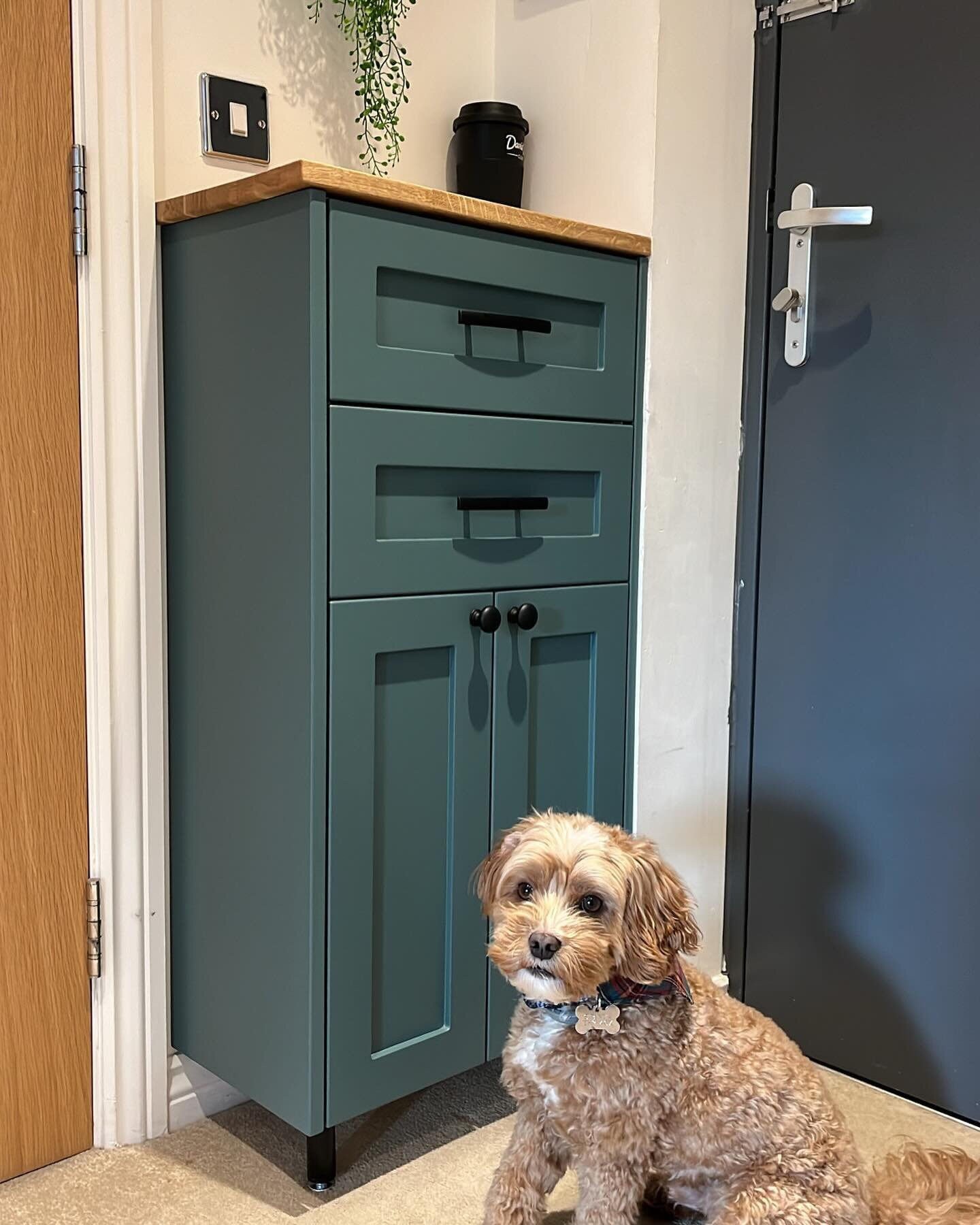 A few still shots of the last project completed in 2023. This cabinet was made specifically to store the belongings of the dog
.
#fittedfurniture #cabinetmaker #dogsofinstagram