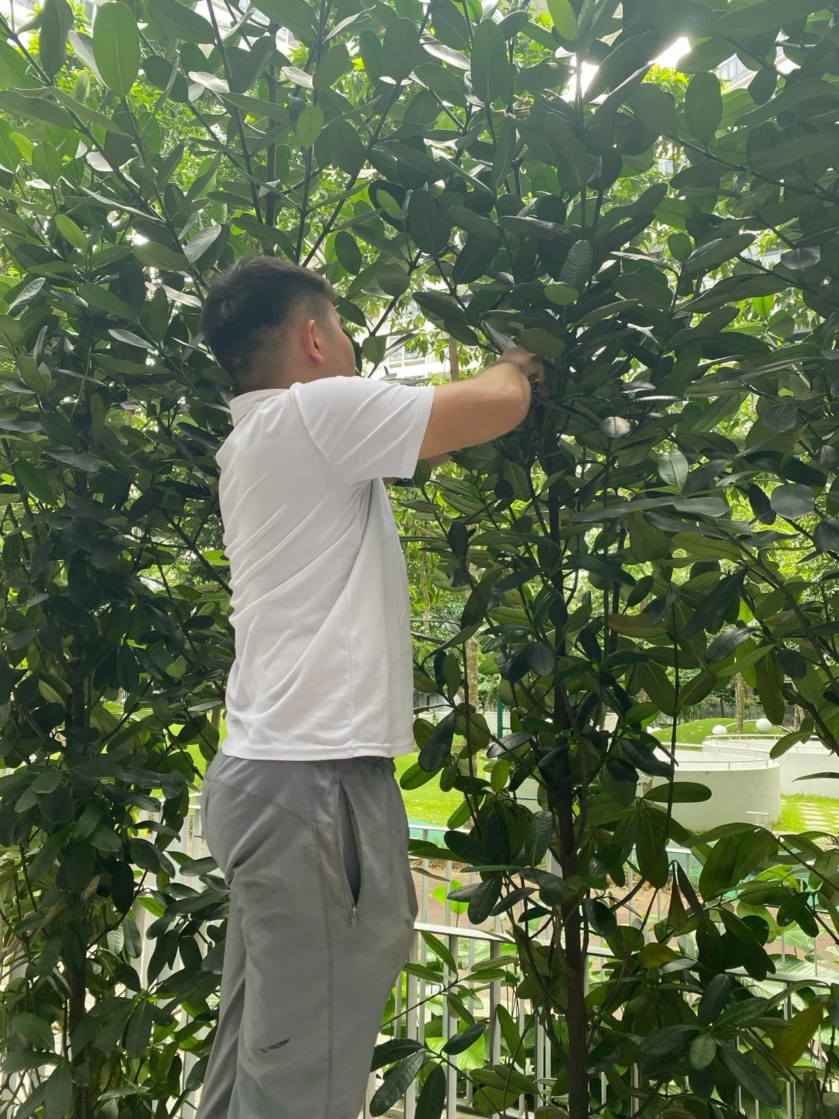 WhatsApp Image 2024-03-25 at 7.29.16 PM.jpeg