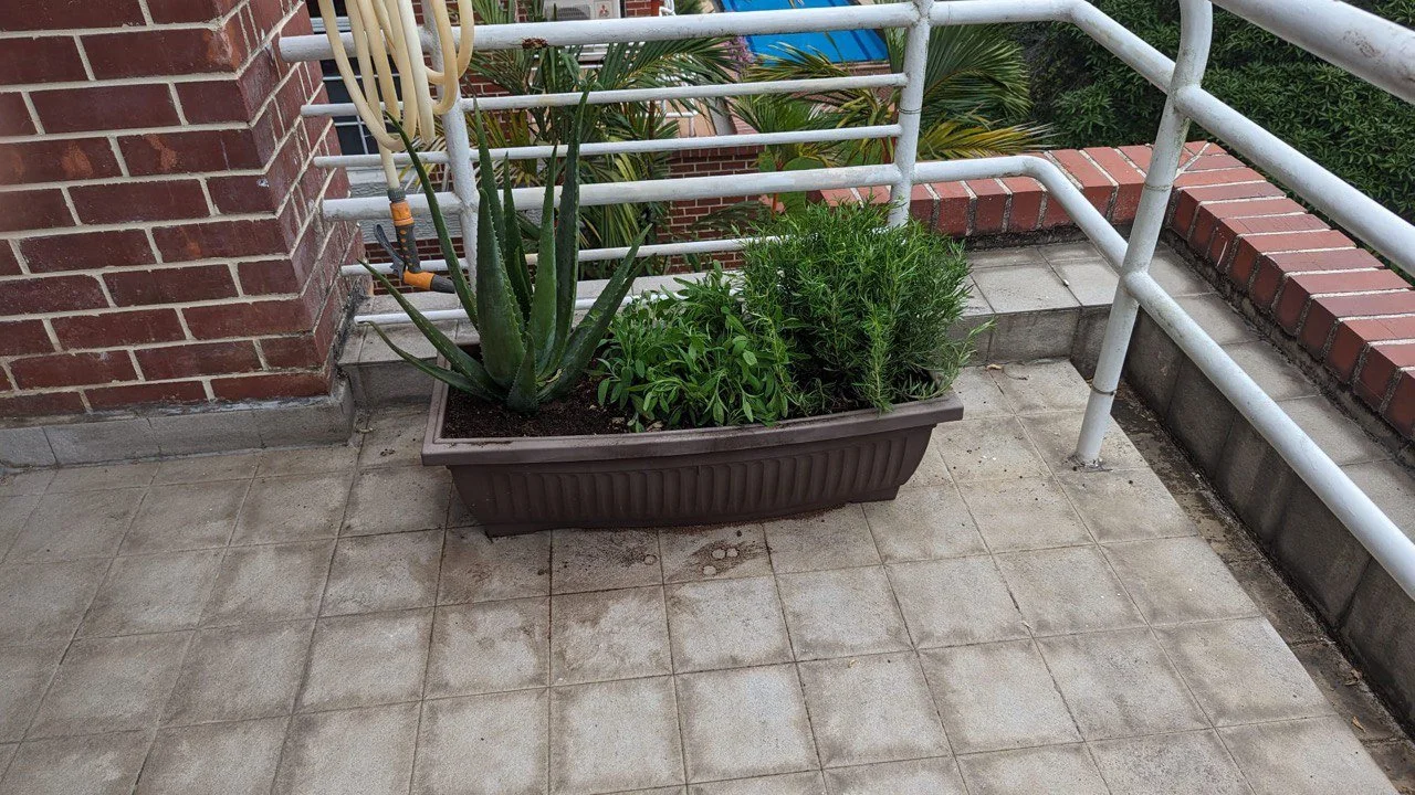 photo1709695383 (9).jpeg