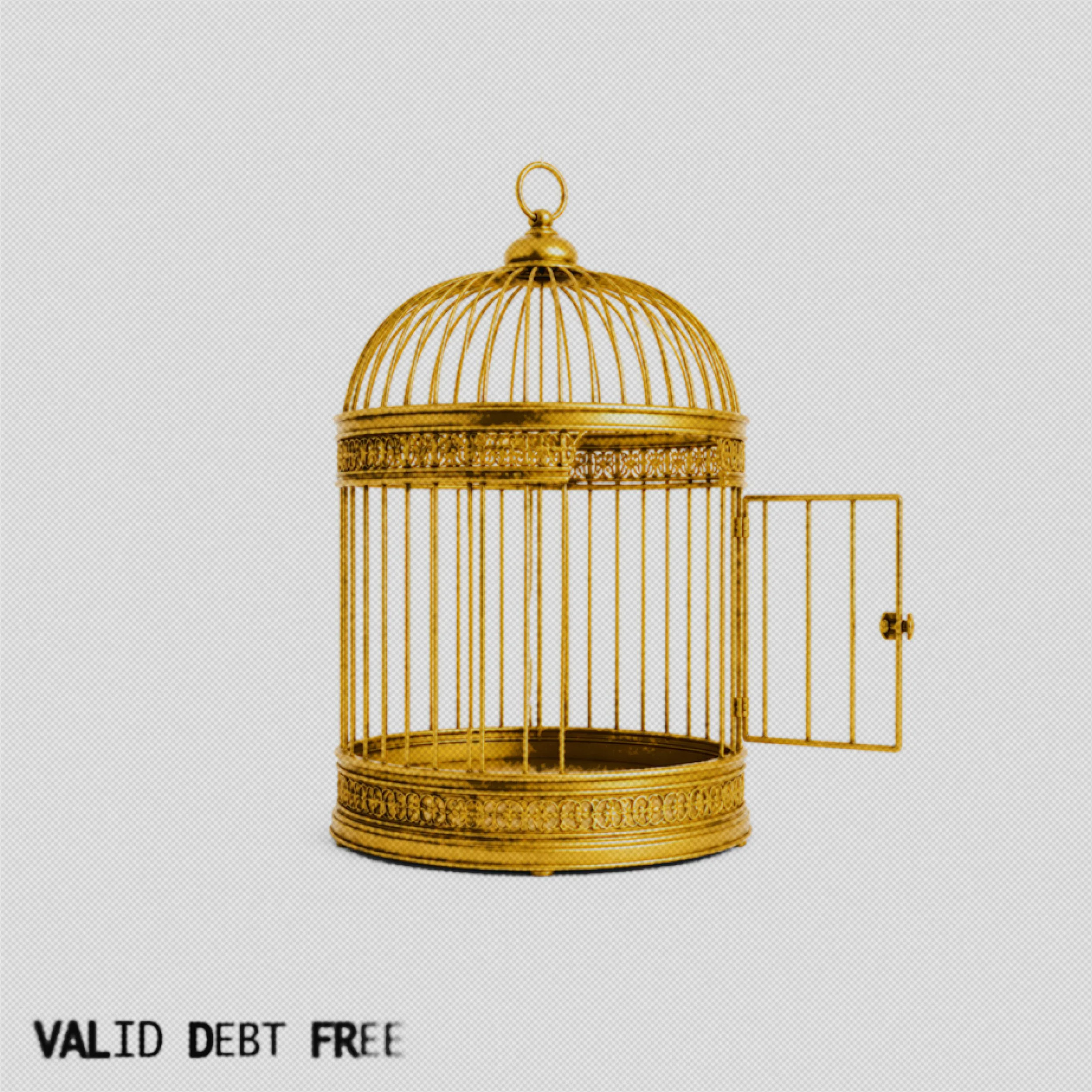 Valid Returns with Luka Burr on "Debt Free" (Single + Video)