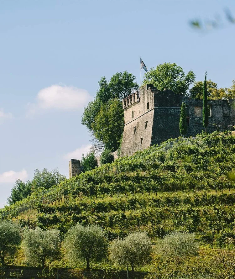 22 settembre<br>Dîner au Château<br>Tenuta Castello di Morcote