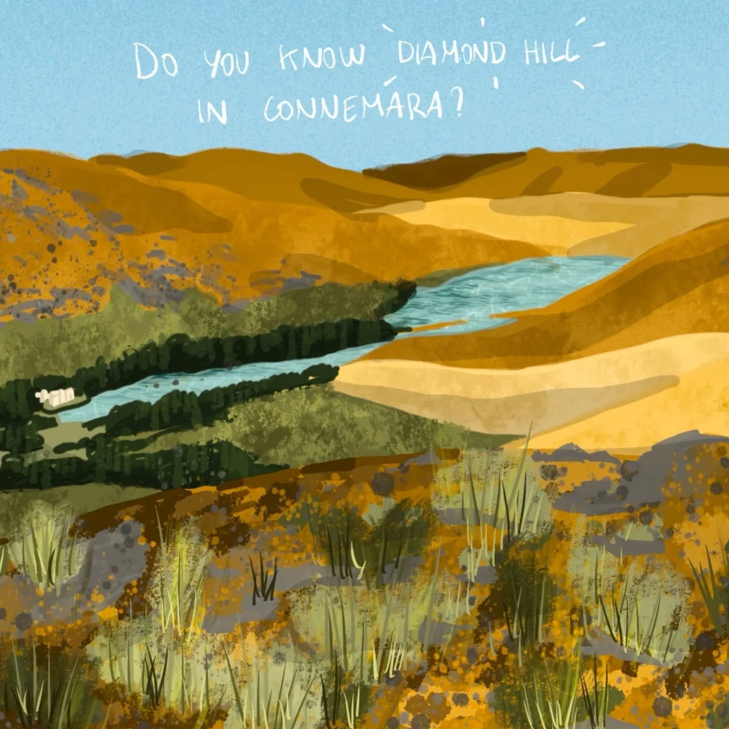 Go to the last slide, I swear it is worth it!! 🐐💕
#diamondhill #connemara #galway #cogalway #discoverireland #discovergalway #irelandprint #irelandposter #irelandillustration #travelwithme