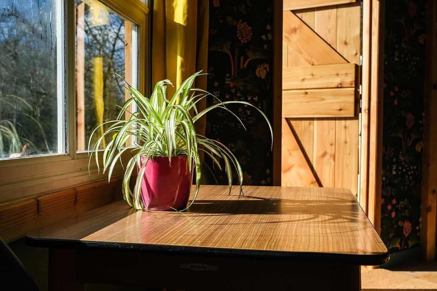 Bramble-cabin-provides-the-perfect-glamping-holiday-for-couples-in-Wales-at-Wye-Glamping.jpg