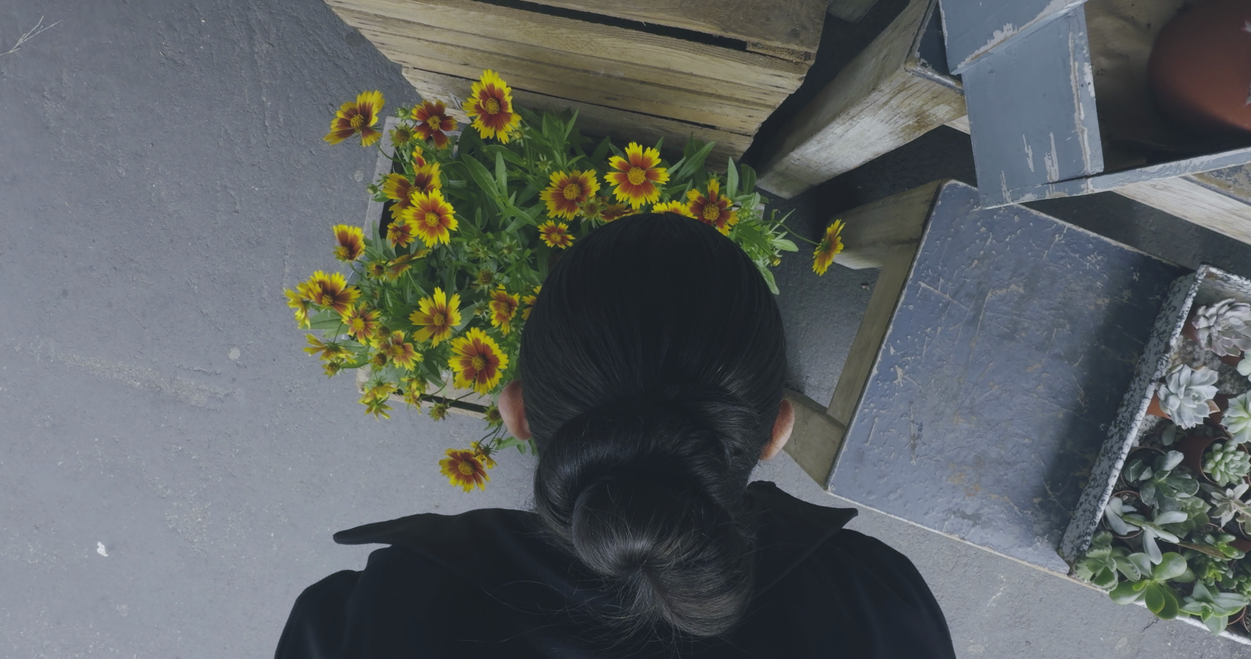 vlcsnap-2026-05-06-09h54m53s437.png