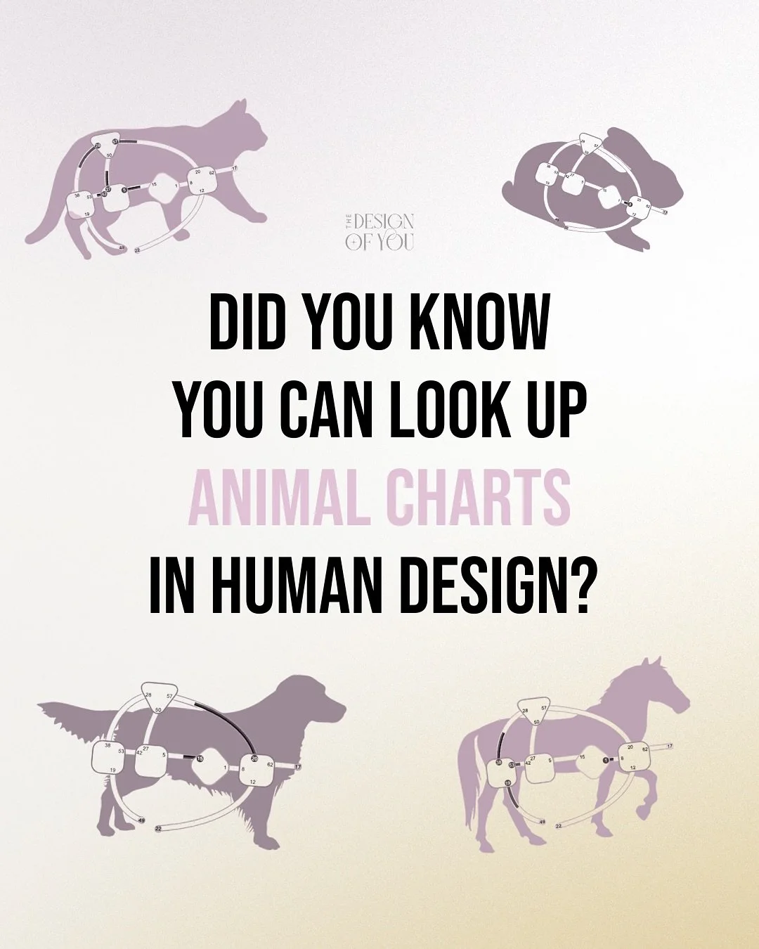 LIVE WORKSHOP tomorrow on this! 🐾

If you want to learn how to read and interpret your pet&rsquo;s chart, join me tomorrow, Oct 28, for my brand new workshop: Animals by Design!

This class was previously only available to HDM students (and still is