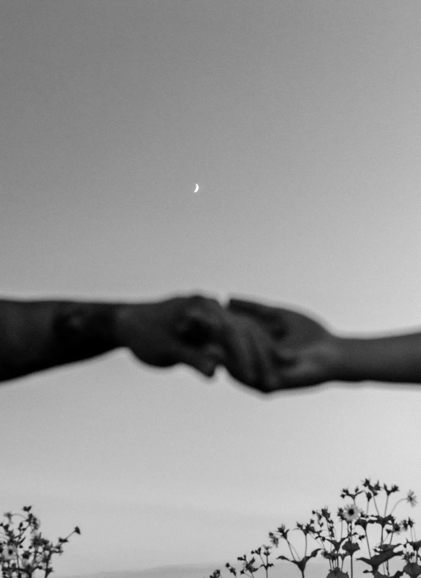 Black and white photo of two hands reaching towards each other, with a crescent moon visible in the sky and flowers in the foreground.