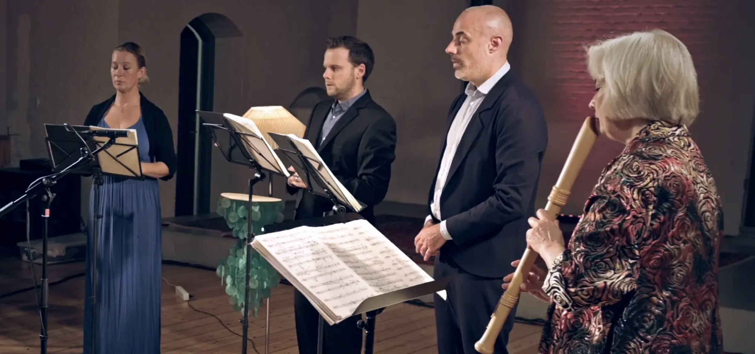 Tulve | The Narrow Road to the Deep North