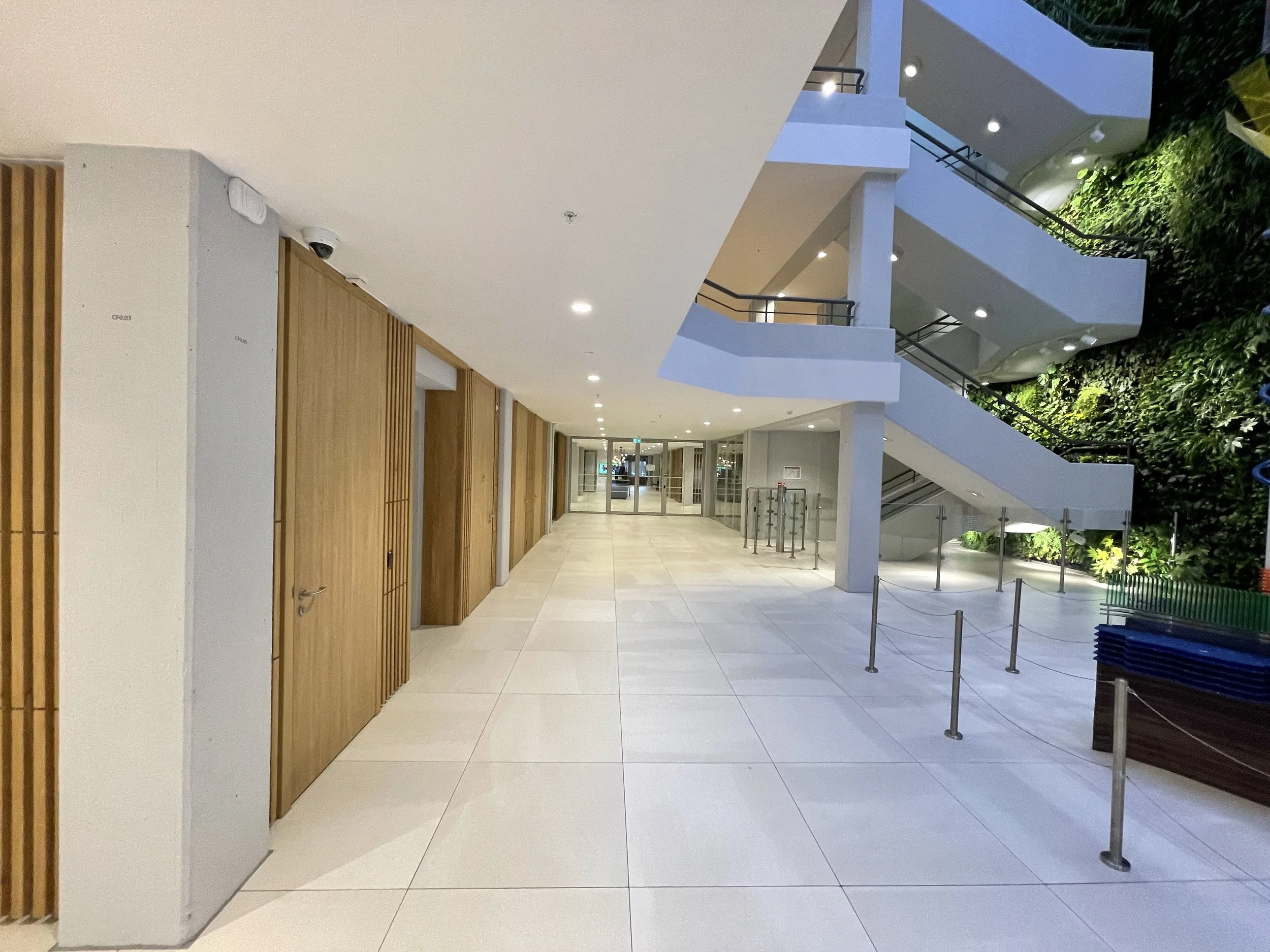 Asona Acoustical Plaster One Coat