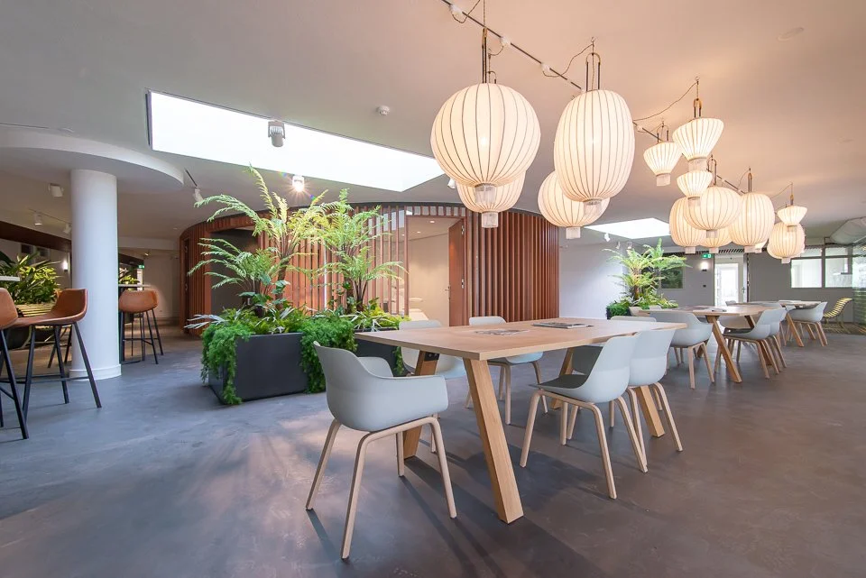Asona Acoustical Plaster Colorcoustic