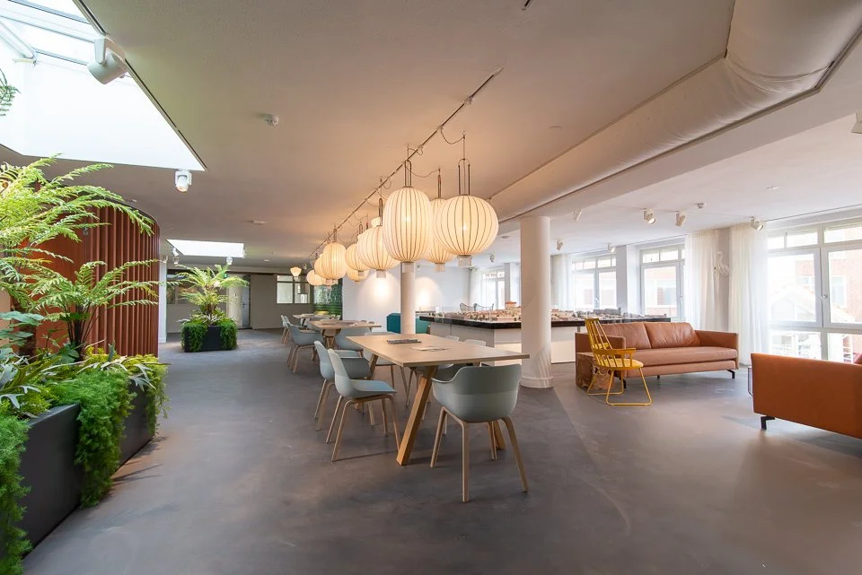 Asona Acoustical Plaster Colorcoustic