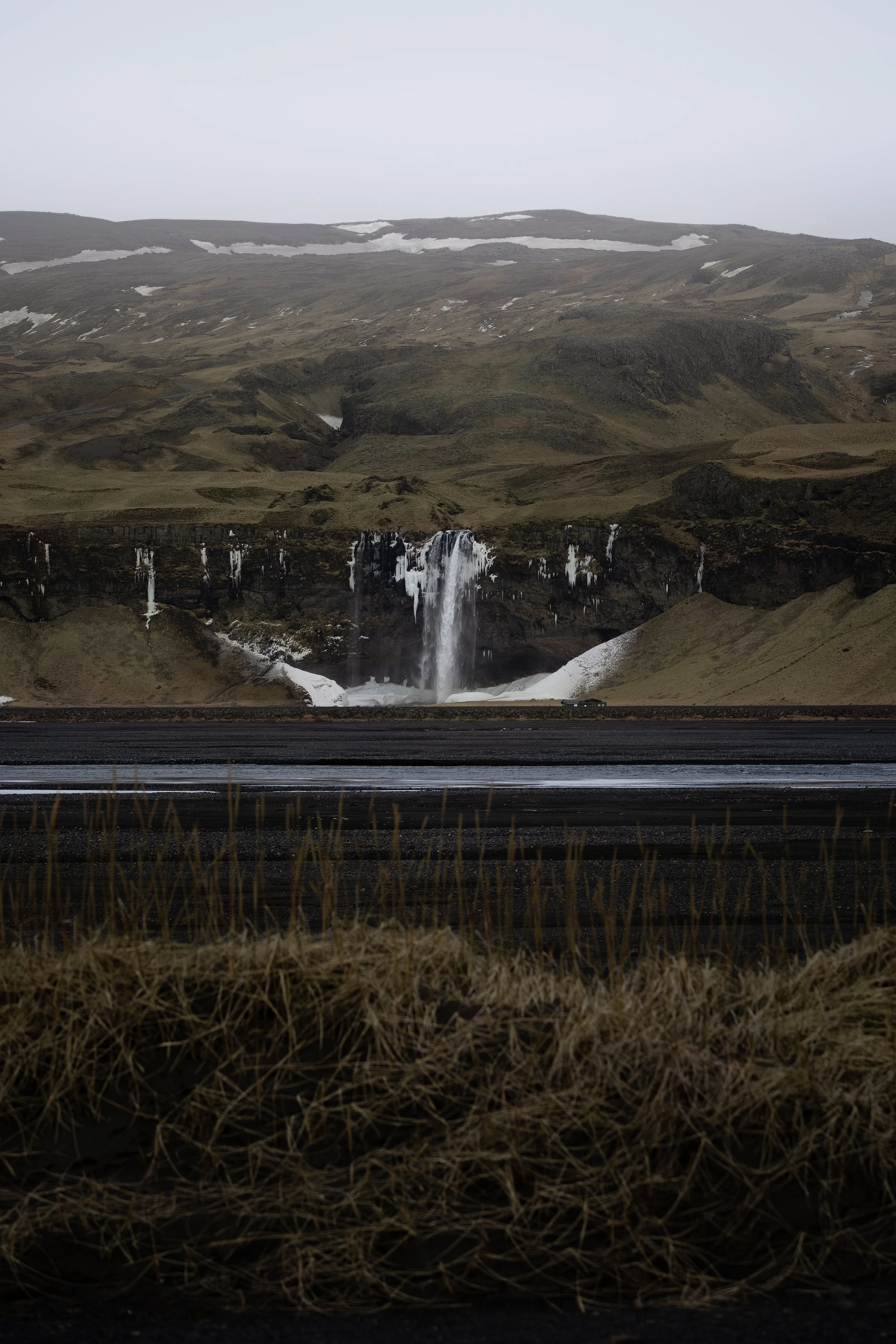 DSC08558-Edit copy.jpeg