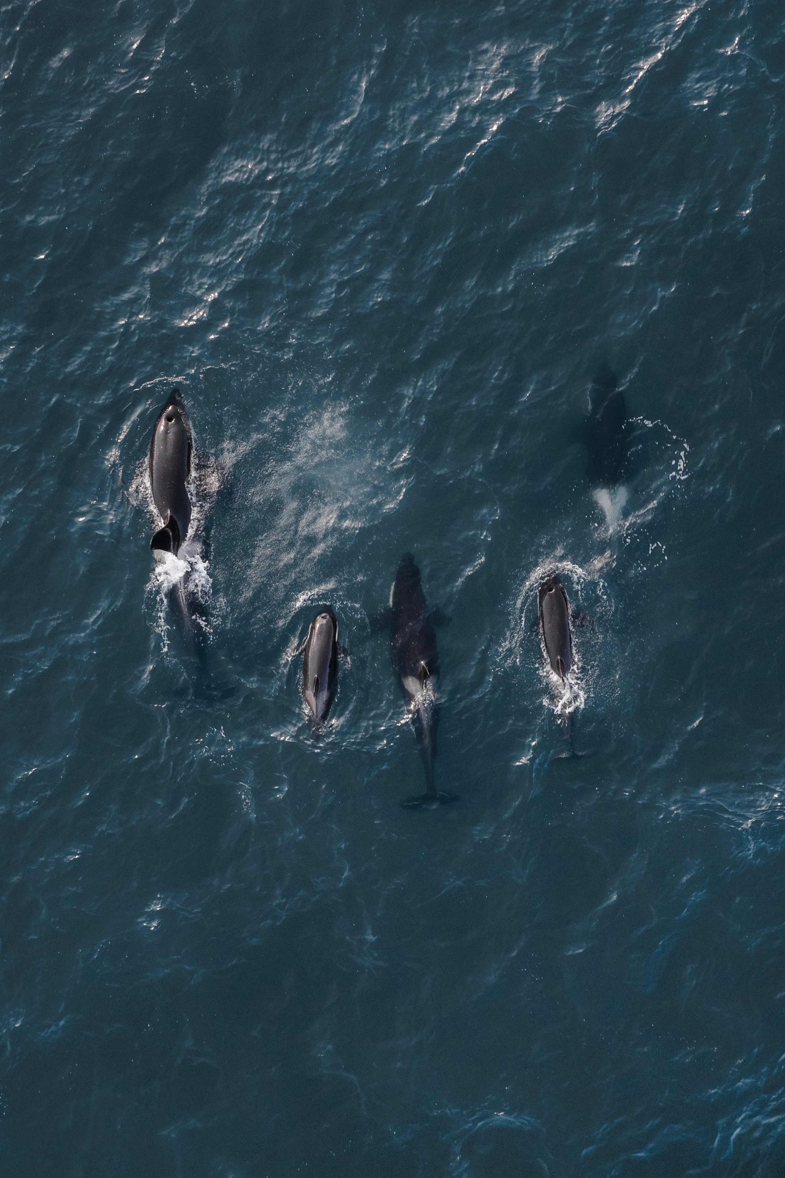 DJI_20230727173832_0009_D-Enhanced-NR.jpg