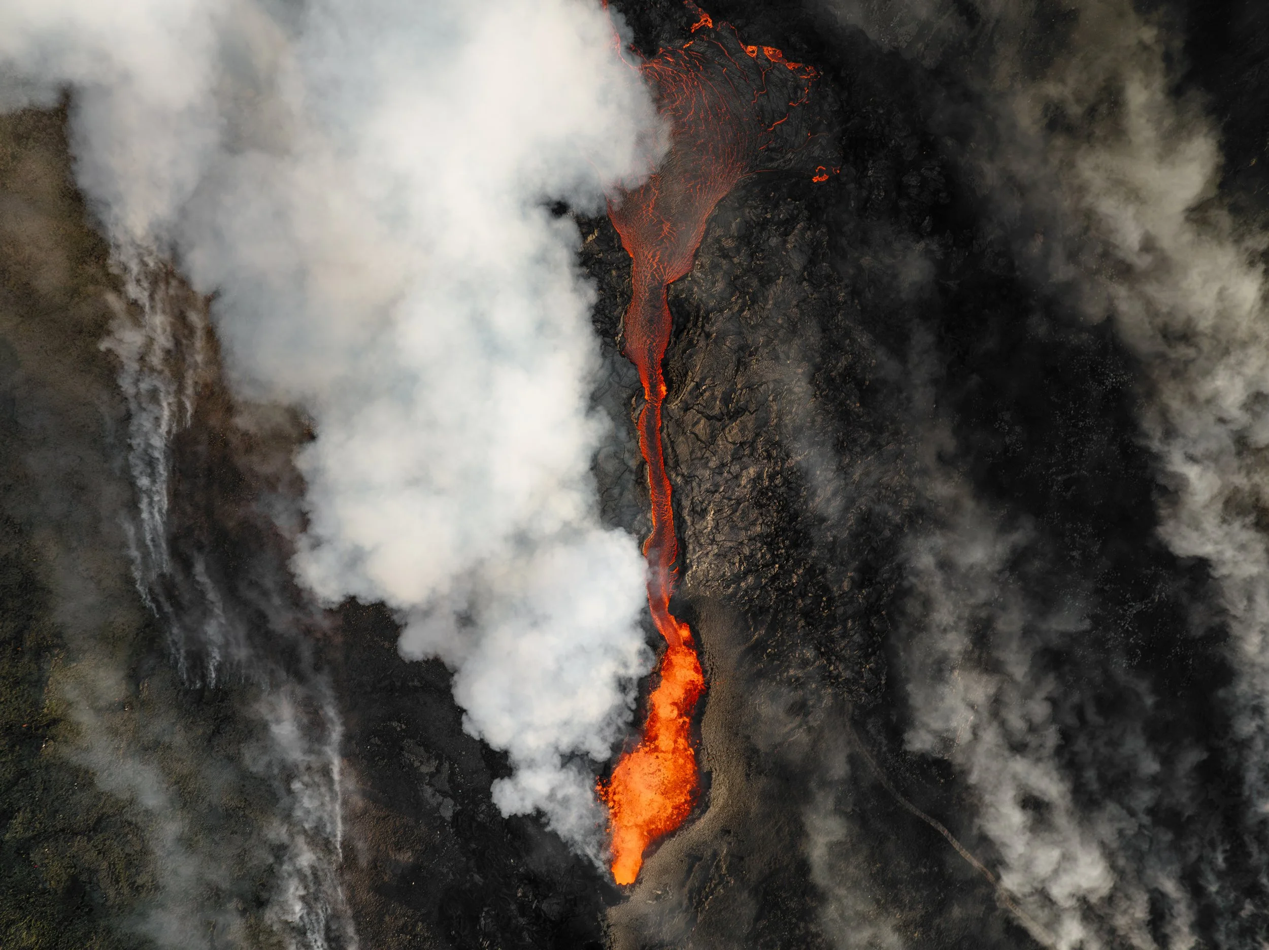 Litli-Hrútur 2.jpeg