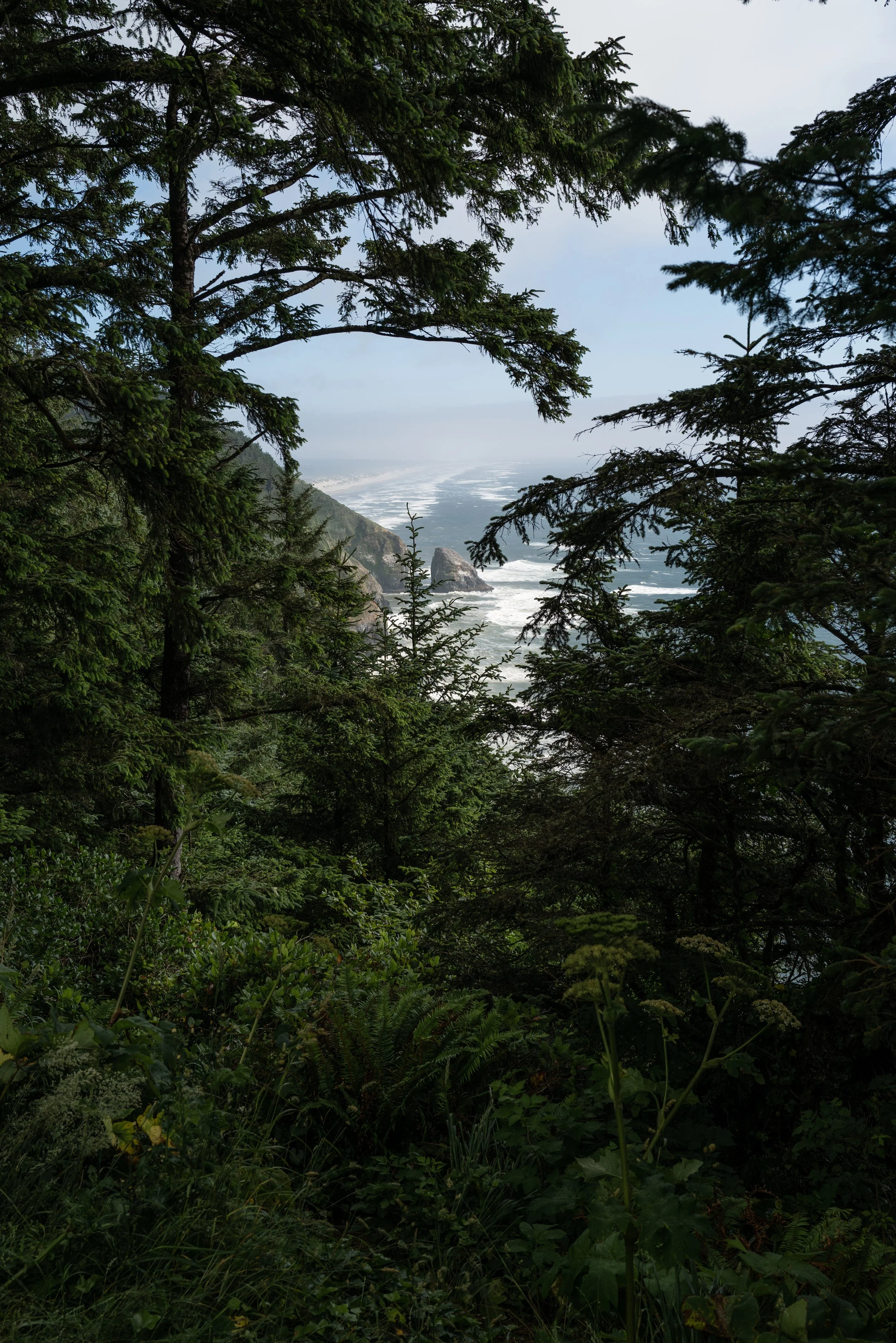 L1000389.jpg