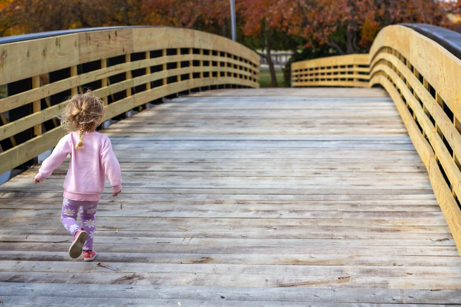 Rebuilding a Local Treasure: The Story Behind the Scott Munn Bridge