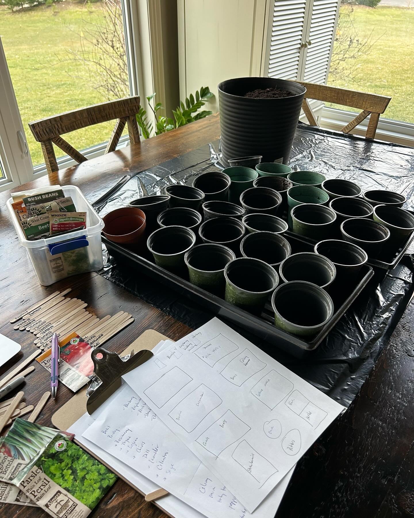 This spring like weather has me in the mood for all the garden planning + seed starting. Anyone else?

The farm I usually buy some of my plants from isn&rsquo;t operating this year so I&rsquo;m attempting to start a lot more from seeds. Wish me luck!