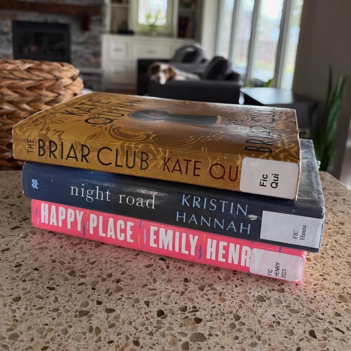 Recent reads 👆🏻👆🏻👆🏻

Not included:
📚Winter Garden - Kristin Hannah
📚Maybe in Another Life - Taylor Jenkins Reid 

Take aways:
I love every TJR book that I pick up. Some (Seven Husbands of Evelyn Hugo 🤩🤩🤩) more than others (One True Loves) 