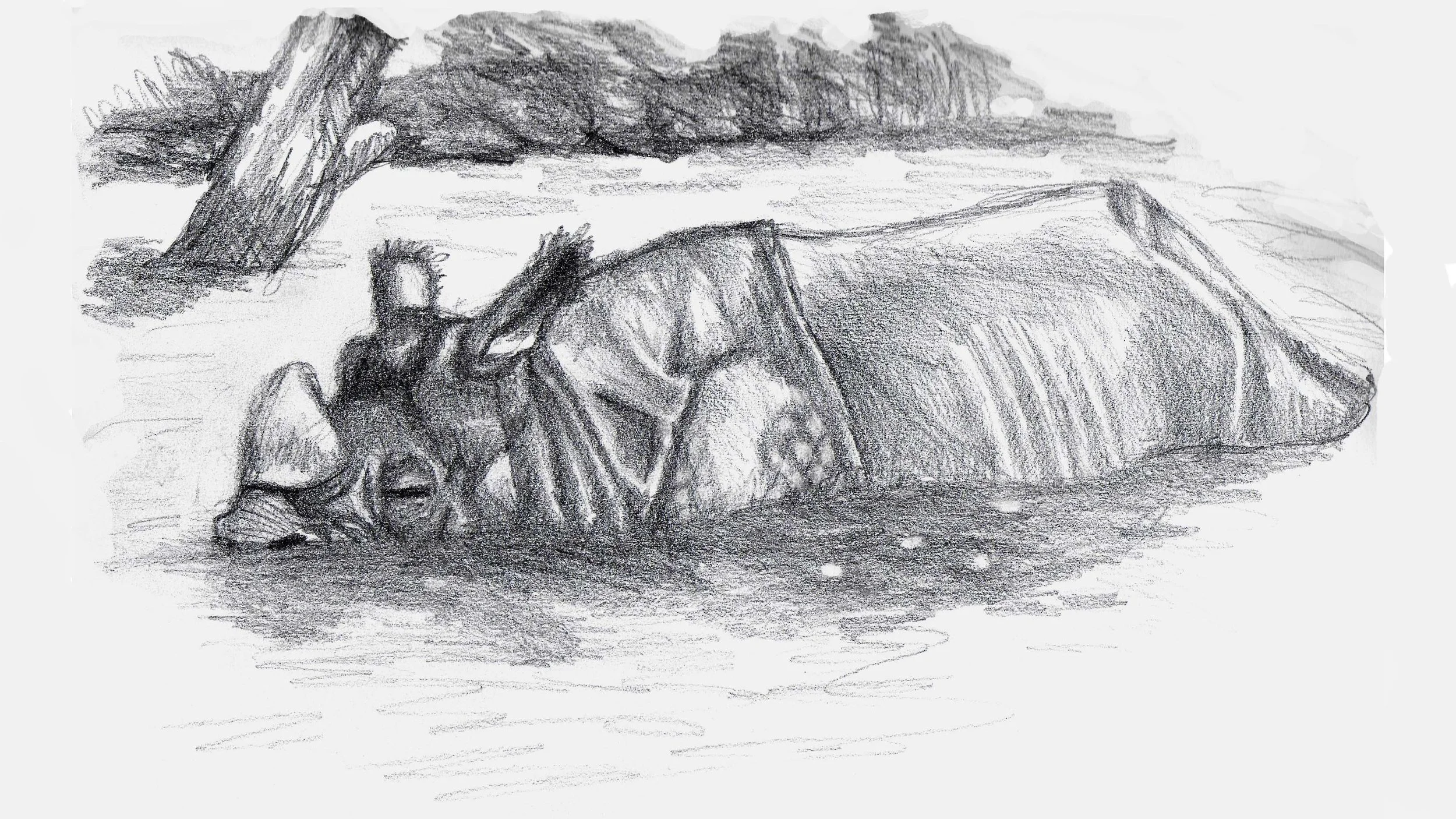 Rhino