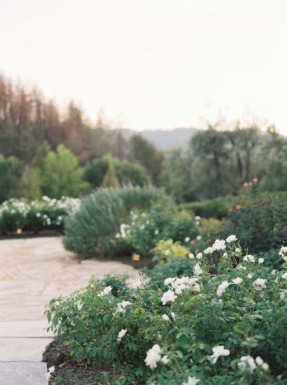 bustleevents.com | San Francisco and Napa Valley Wedding Planner and Designer | Bustle Events | Jenn Huang Photography | Black Swan Lake Weddings   (1).jpg