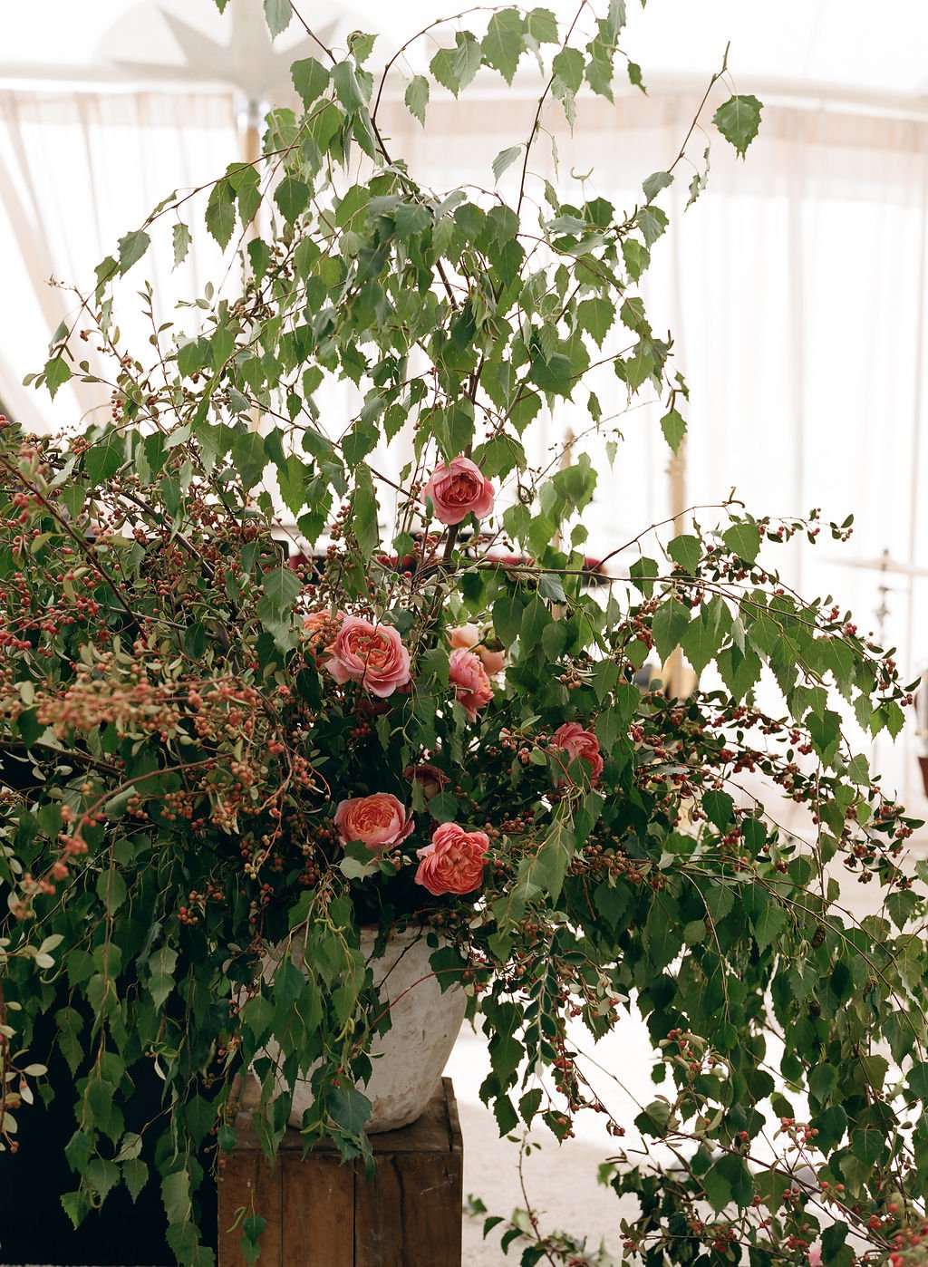 Healdsburg Weddings | bustleevents.com | San Francisco and Napa Valley Wedding Planner and Designer | Bustle Events 1 (6).jpg