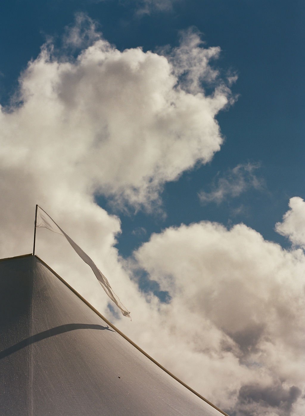 Healdsburg Weddings | bustleevents.com | San Francisco and Napa Valley Wedding Planner and Designer | Bustle Events 4 (6).jpg