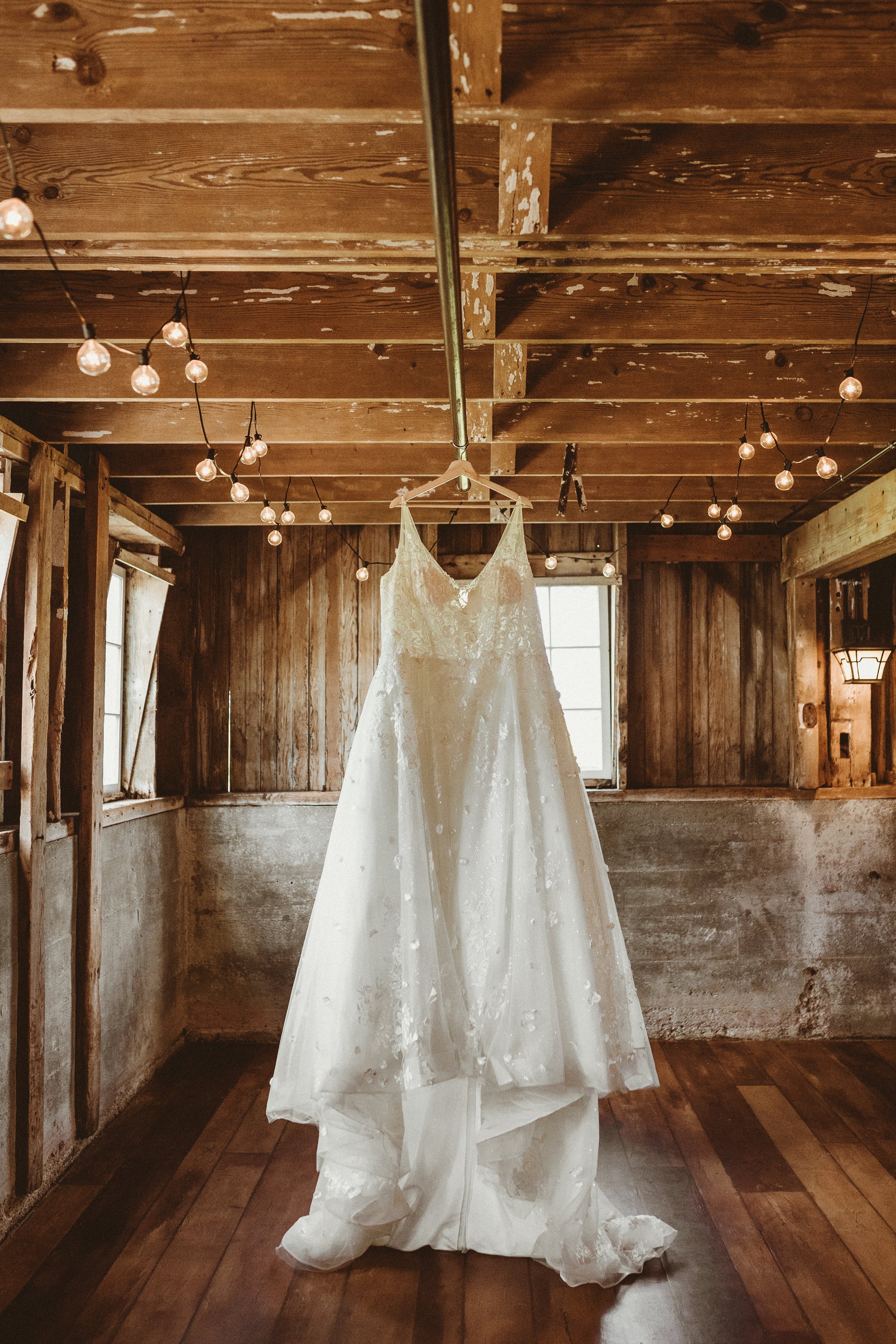 redwoodsagephoto-betty-and-beau-16.jpg