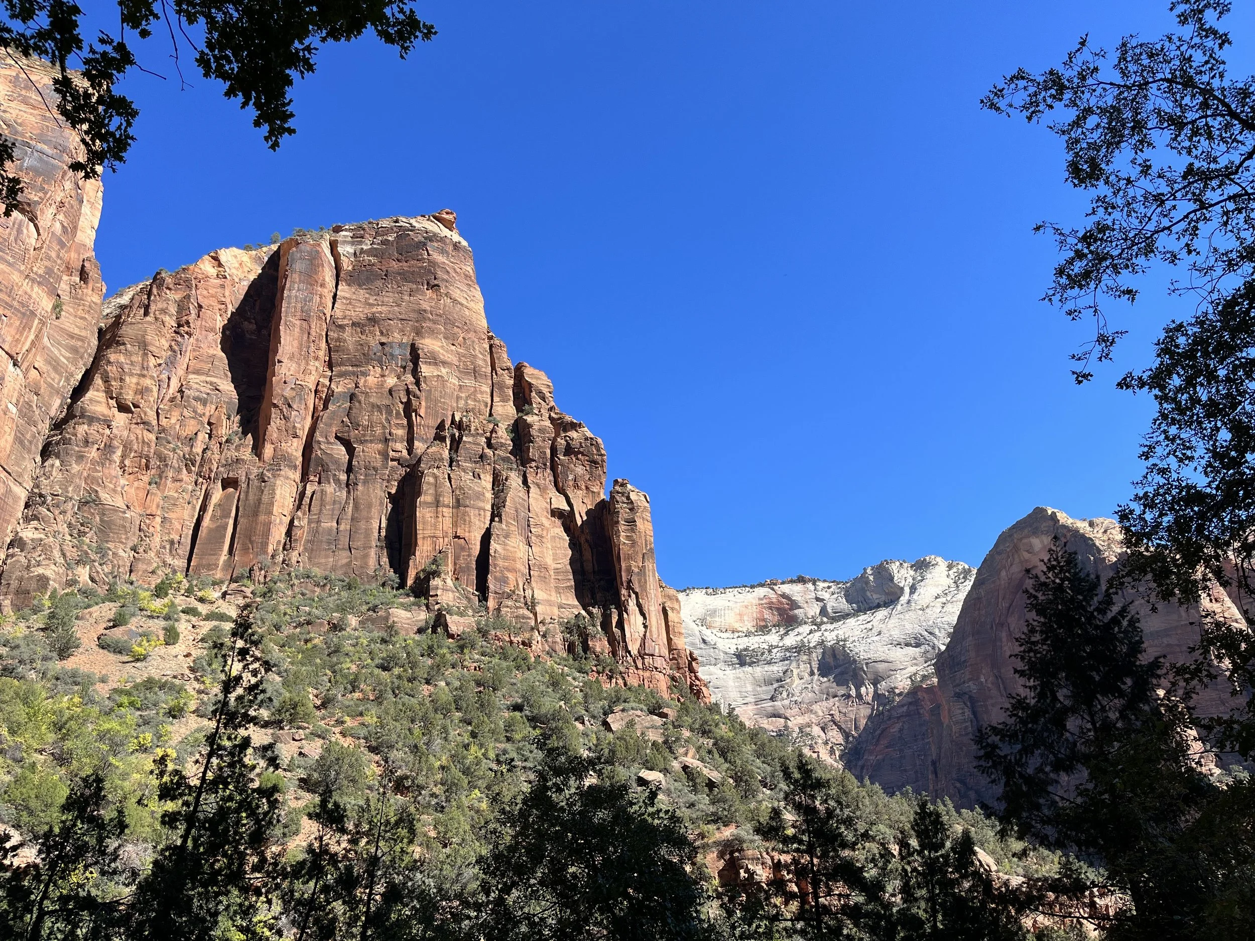 Angel’s Landing