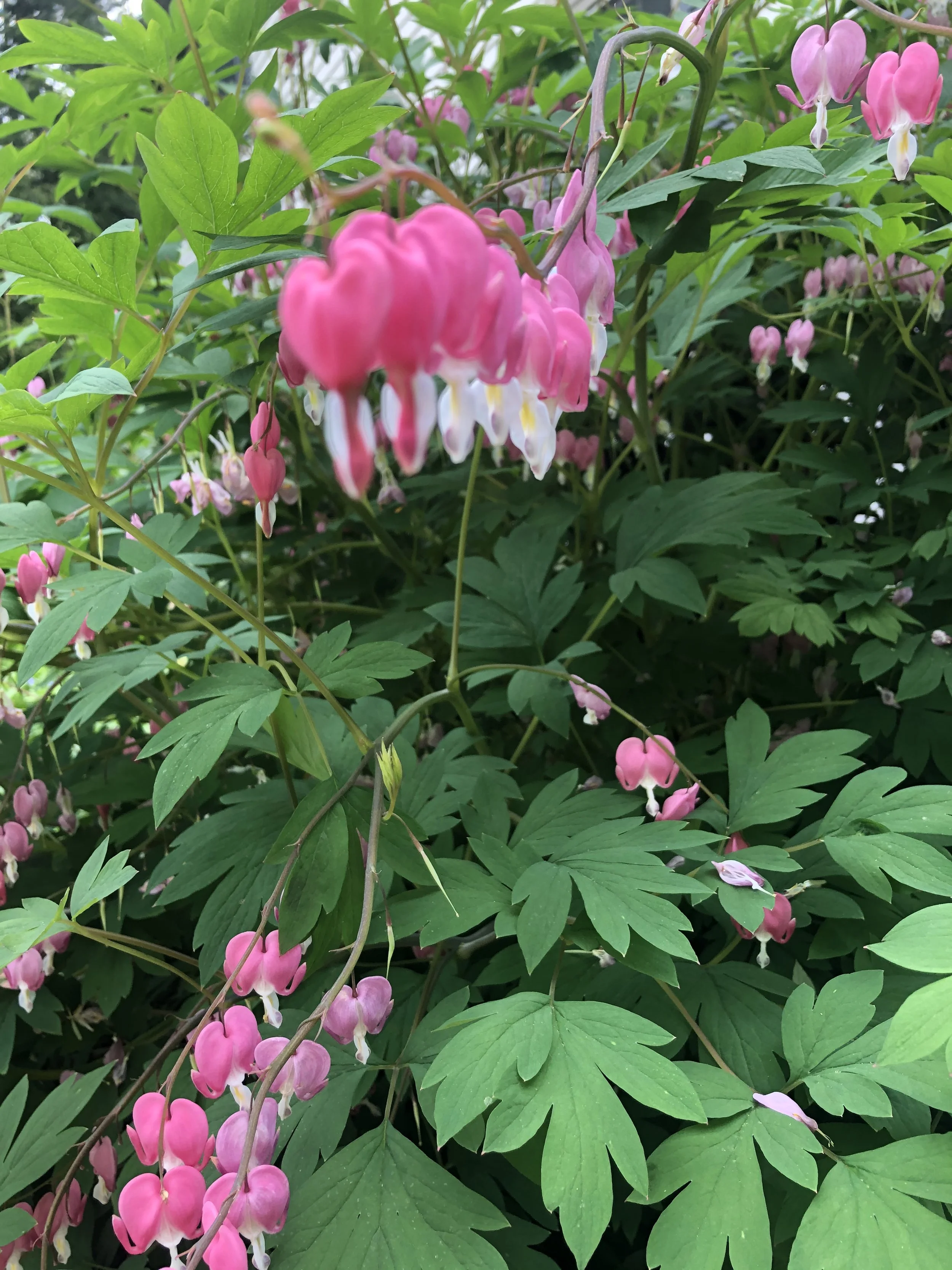 Playing it safe won’t get you your dreams.