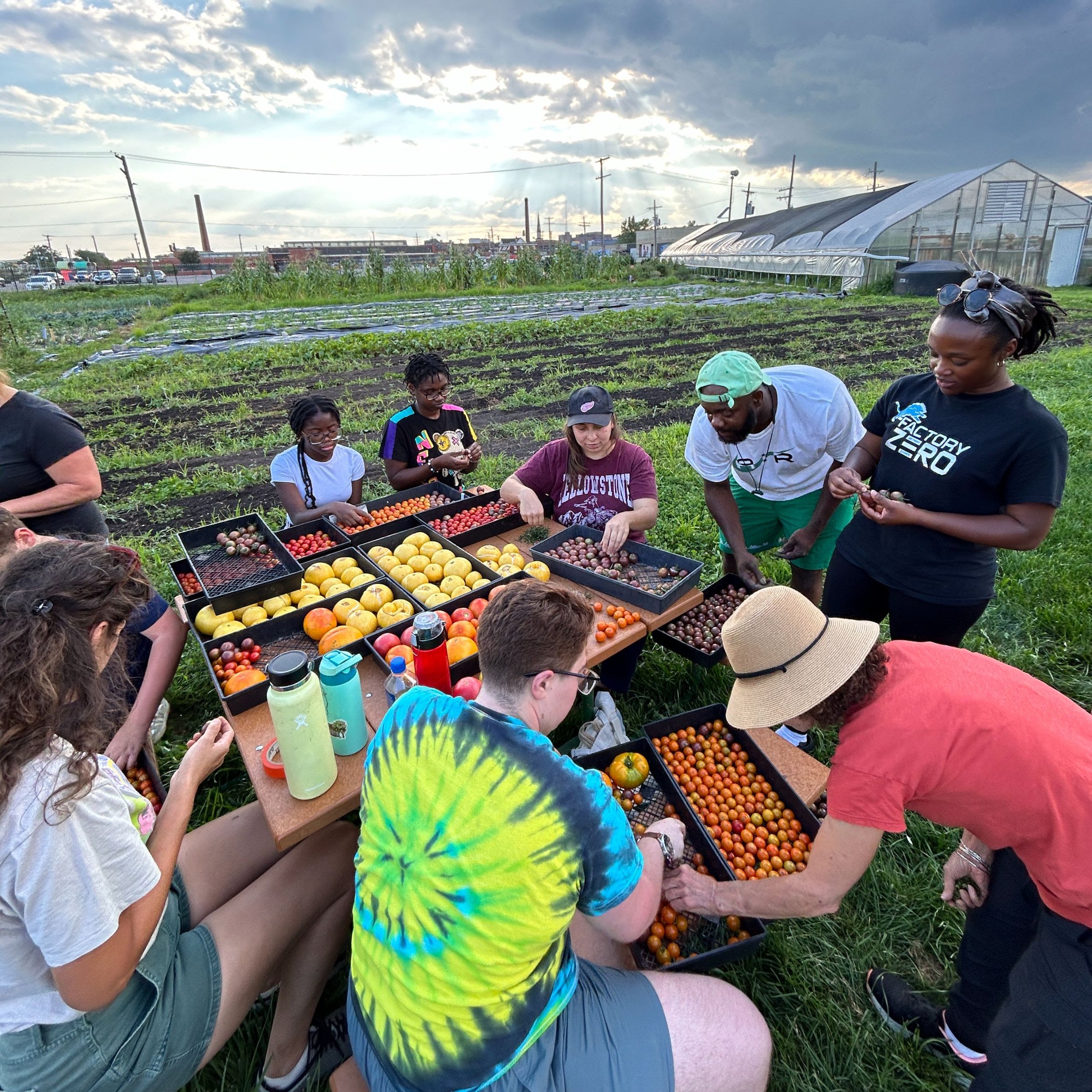 Weekly Volunteer Hours at KGD Farm - May 20
