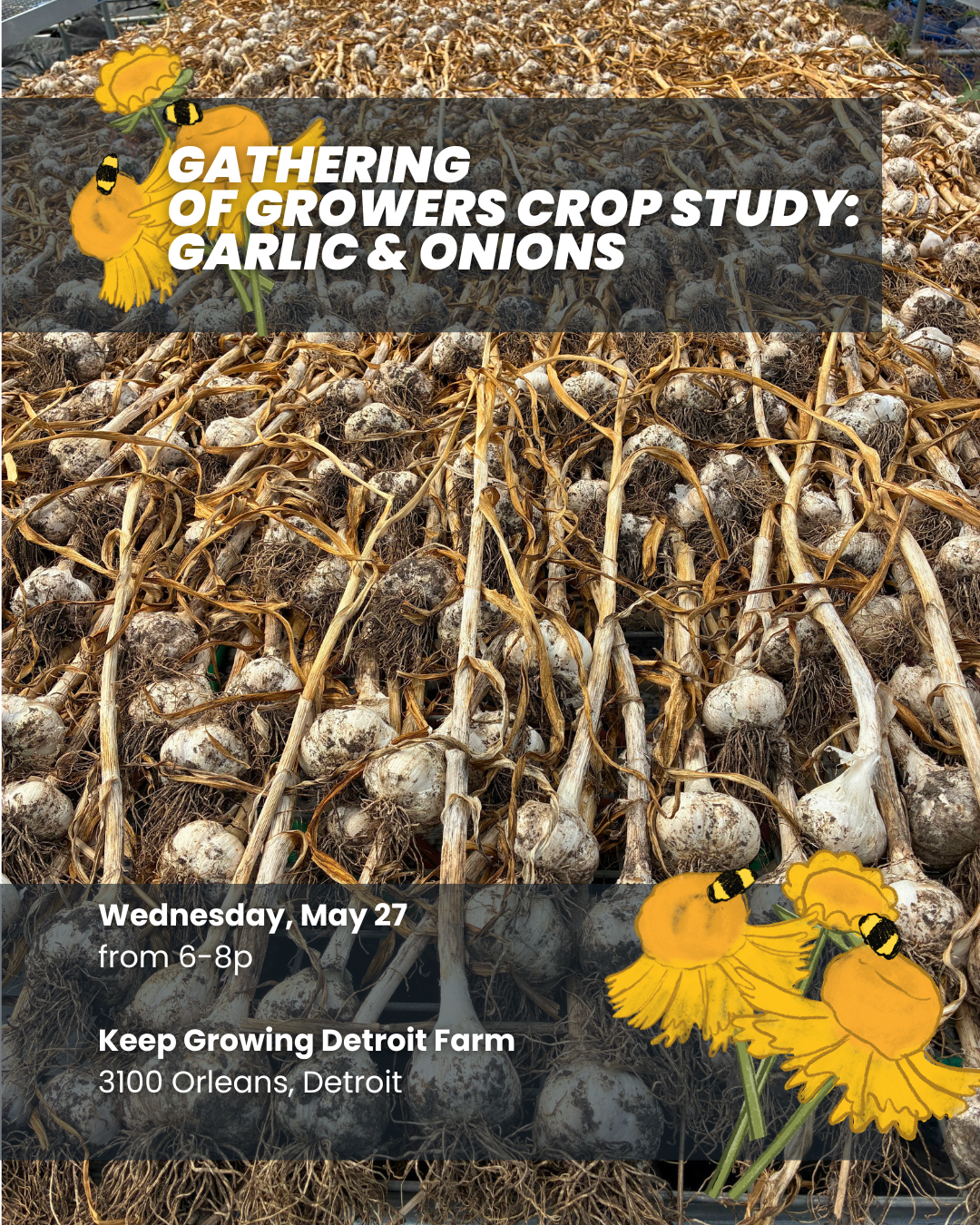 Gathering of Growers Crop Study: Garlic &amp; Onions