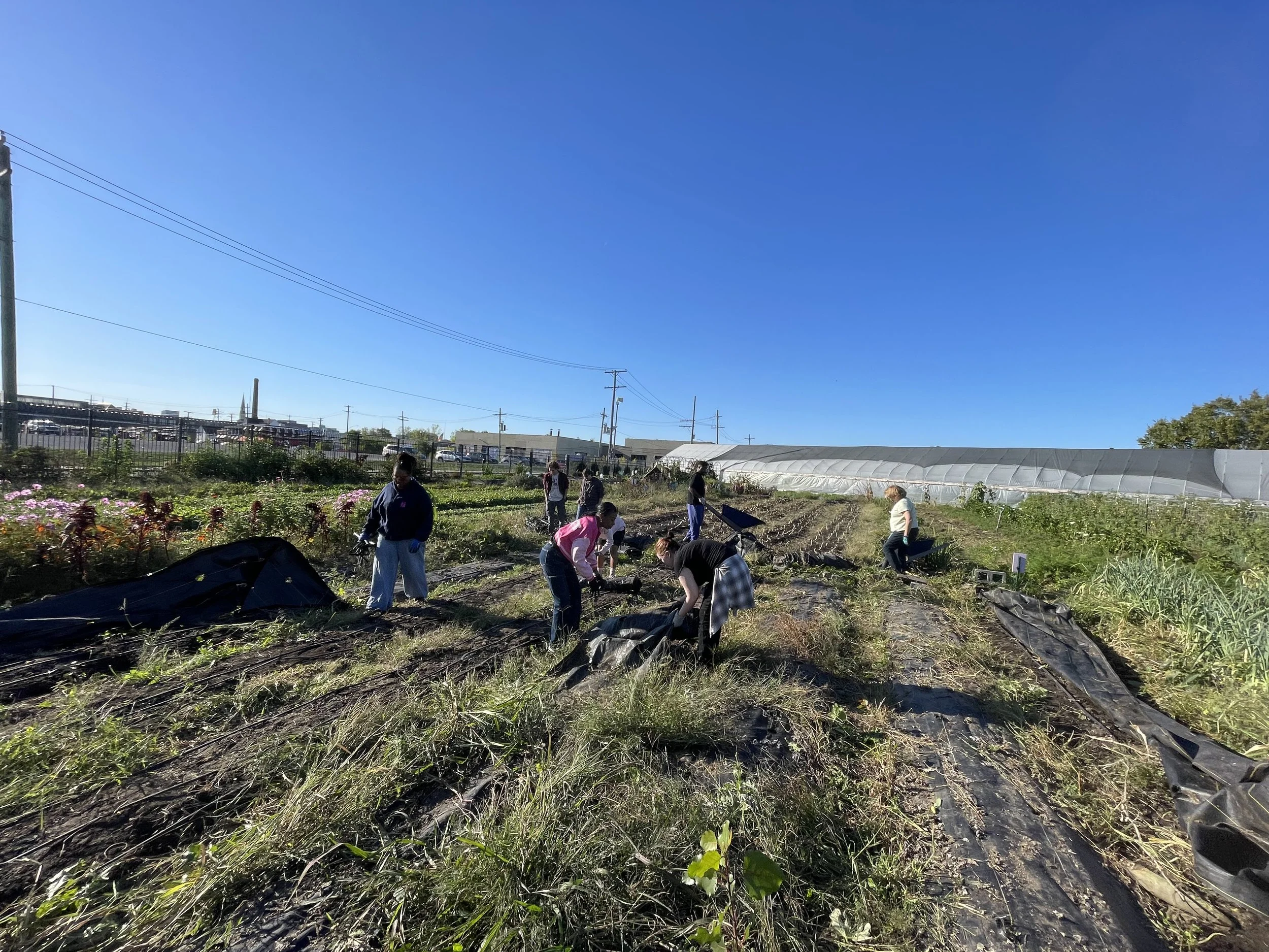 Weekly Volunteer Hours at KGD Farm - October 1