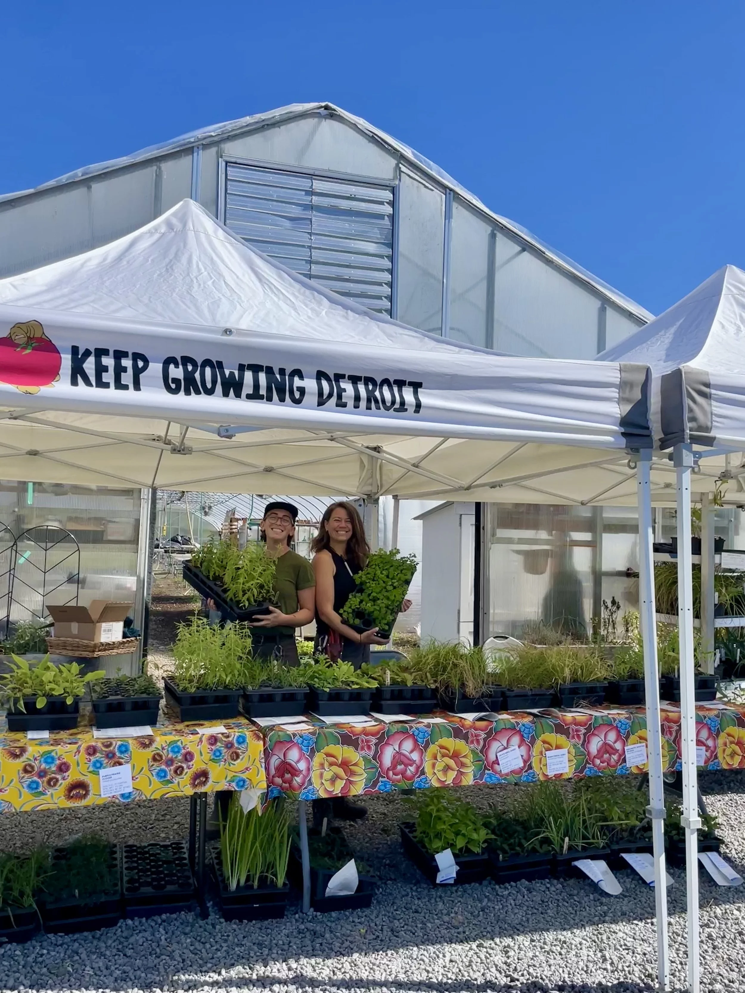 5th Annual Fall Native Plant Market