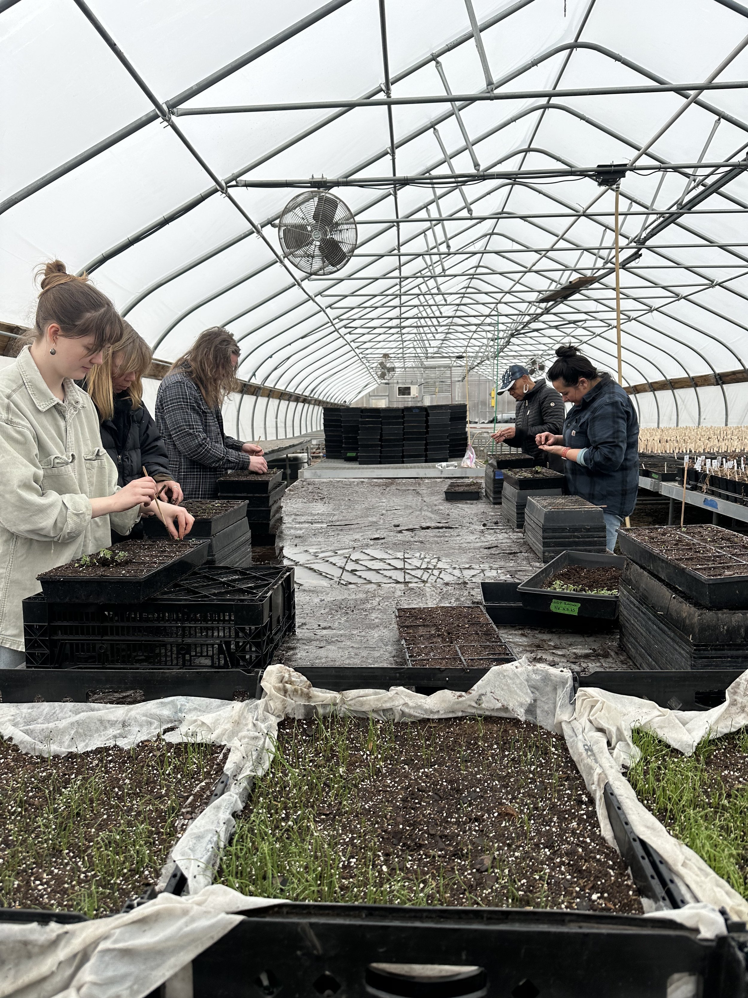 Weekly Volunteer Hours at KGD Farm - May 2