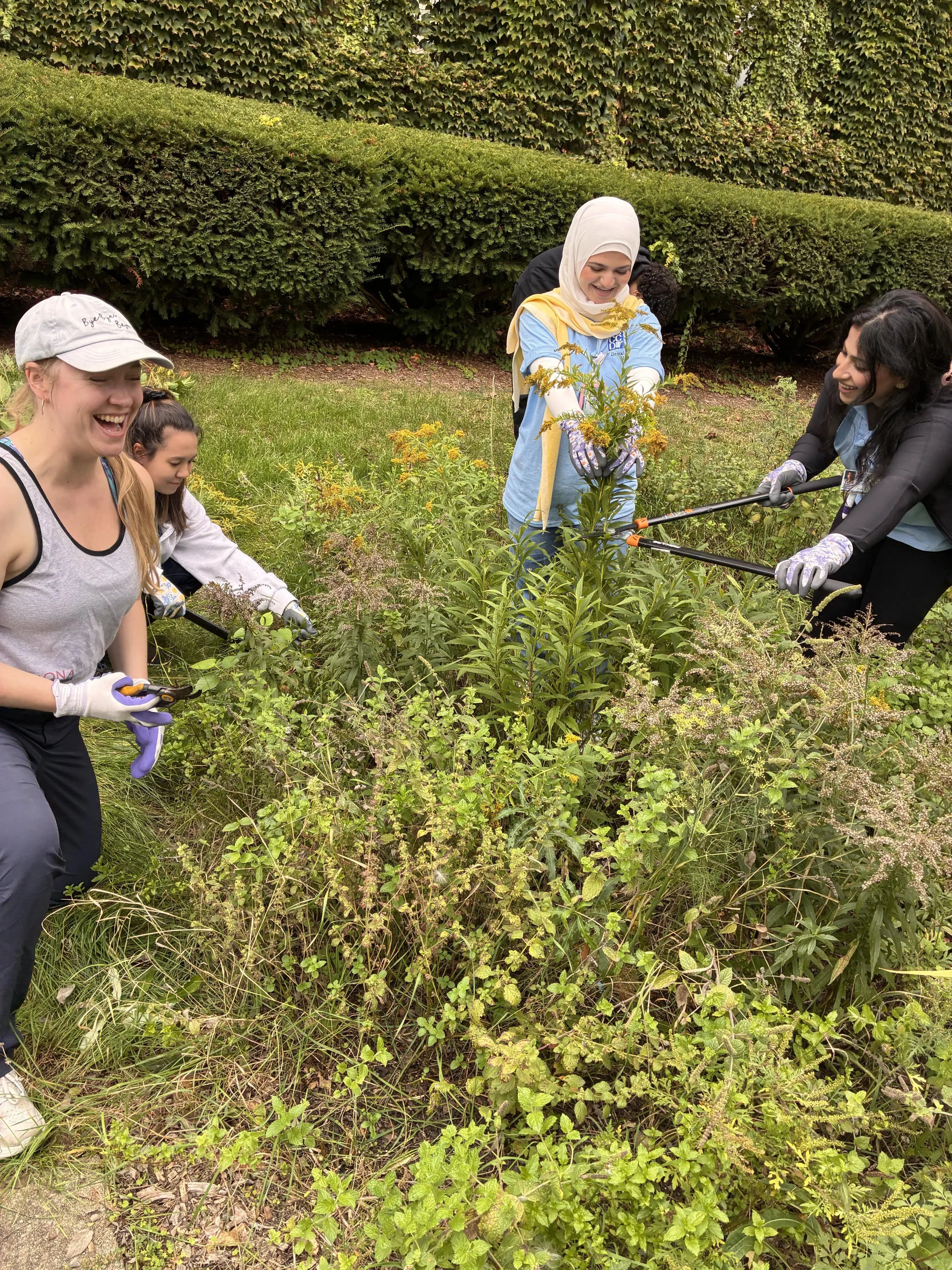 KGD Community Volunteer Day&nbsp;- We3Queens Community Garden and Asibara Forest 