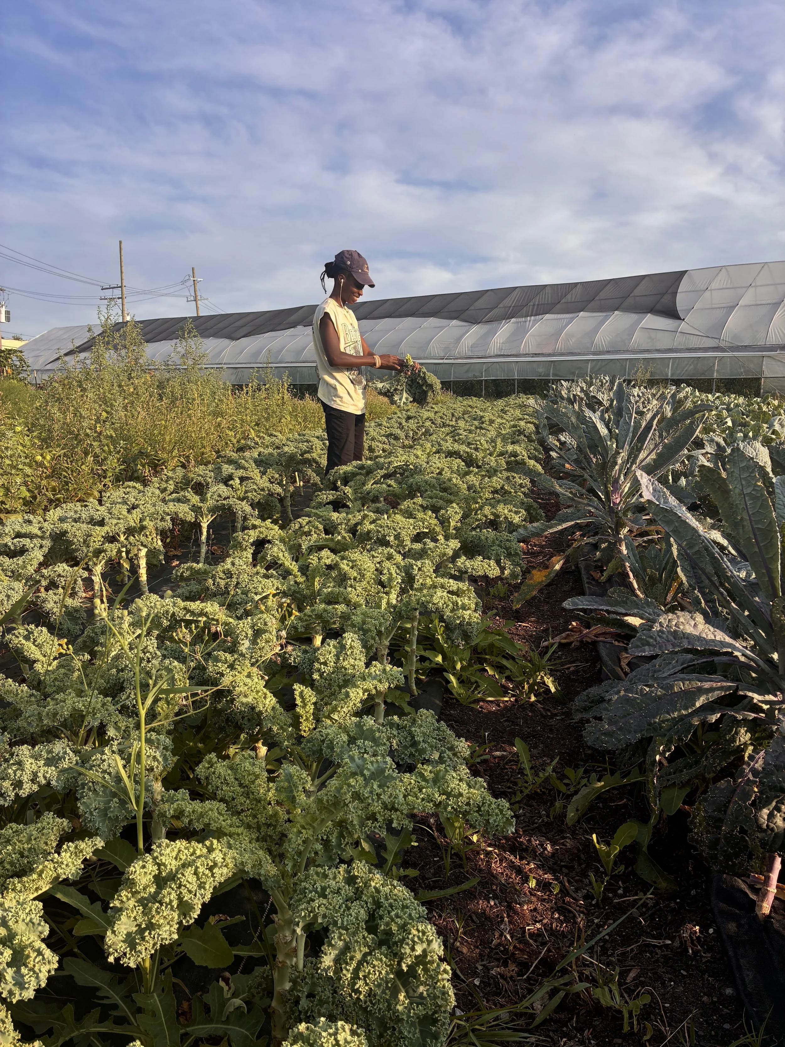 Fundraising for Farmers: Where to Find Resources &amp; How to Apply