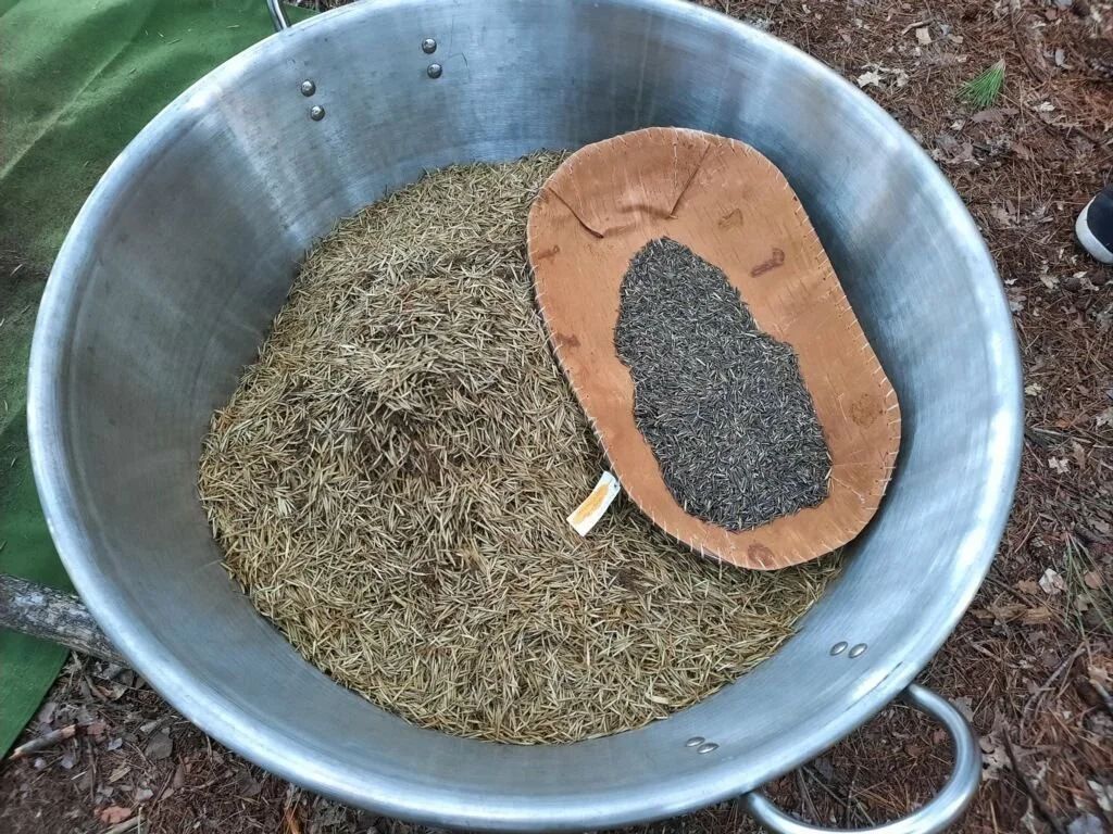 Gathering of Growers: Ricing Moon/Manoominii Giizis