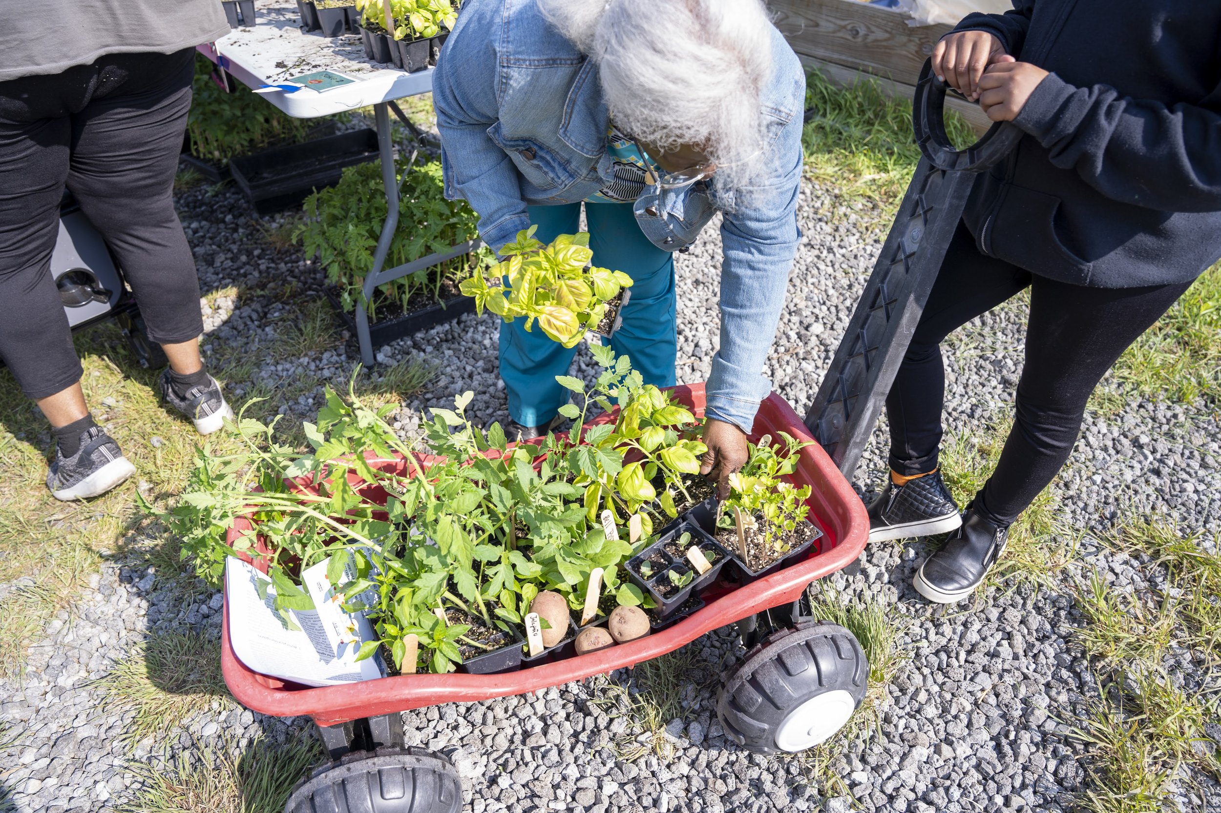 GRP Hot Crop Distribution Dates & Times - 5/19