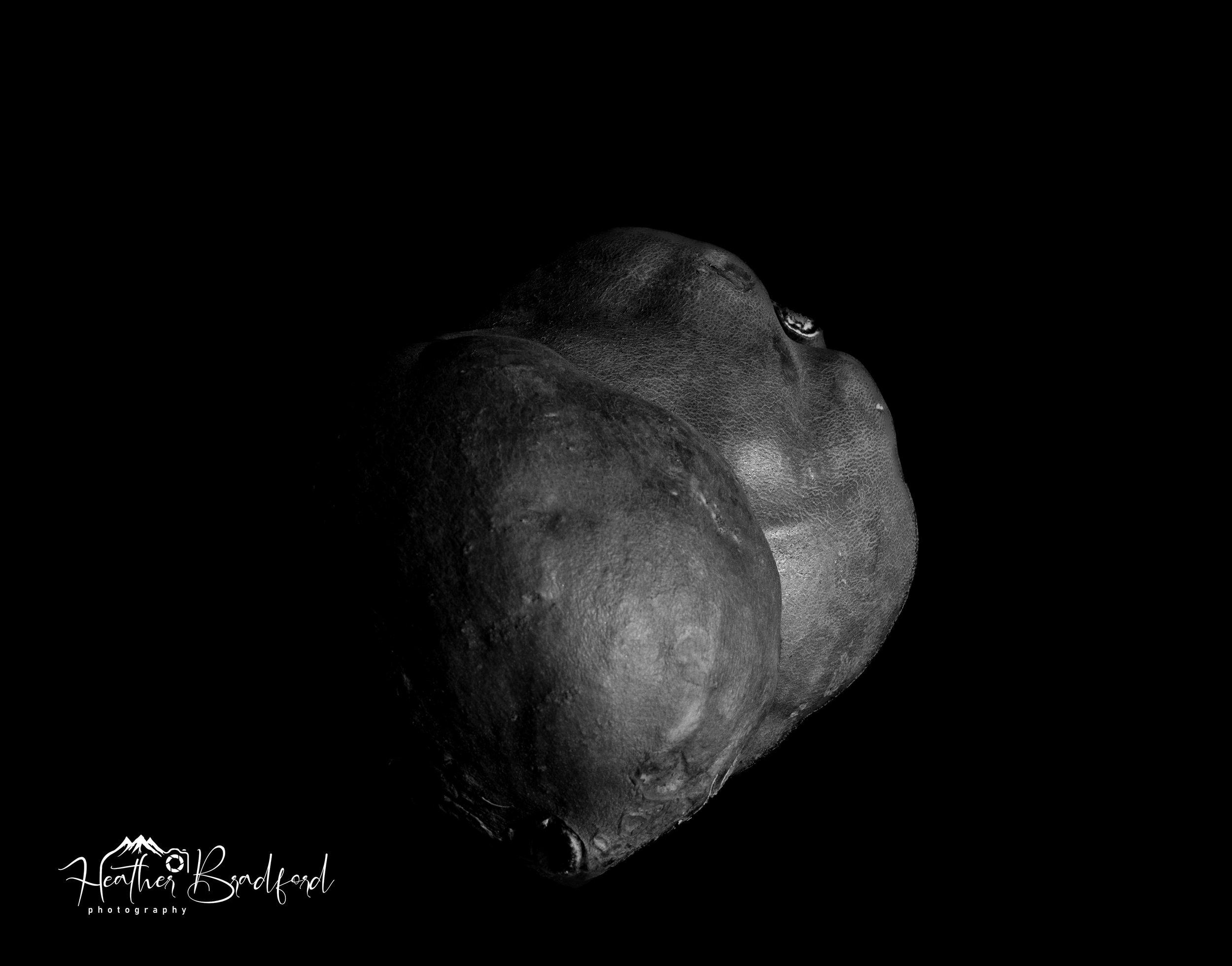 Sweet Potato Nude 3.jpg