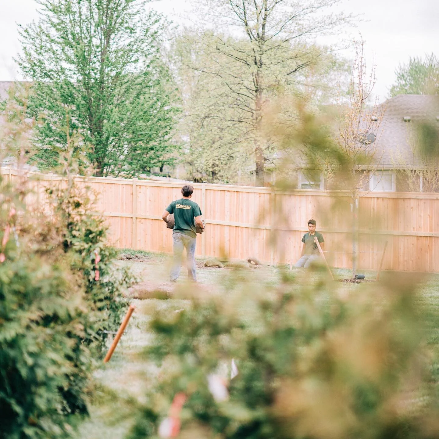 The guys are making it happen despite the rain the past two weeks! We appreciate all they do and are extremely thankful for each of them! 
.
.
.
#landscaper #landscaping #landscaperslife #landscalinglife #sod #evergreen #privacy #landscapingideas #la