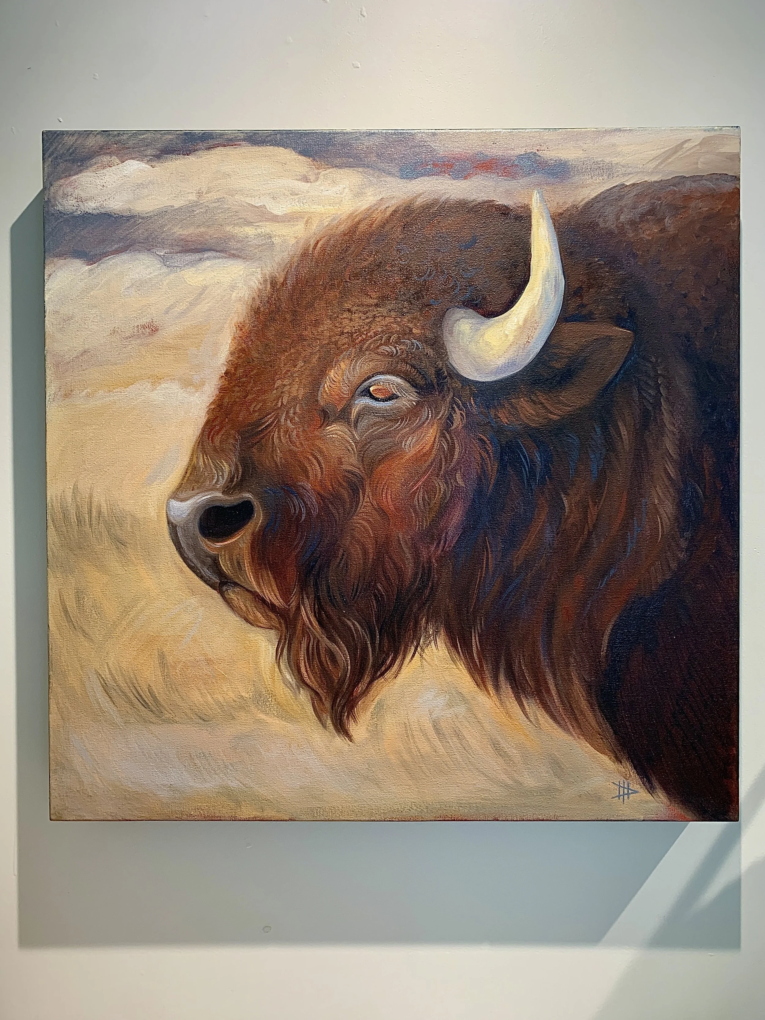 24"x24" Bison