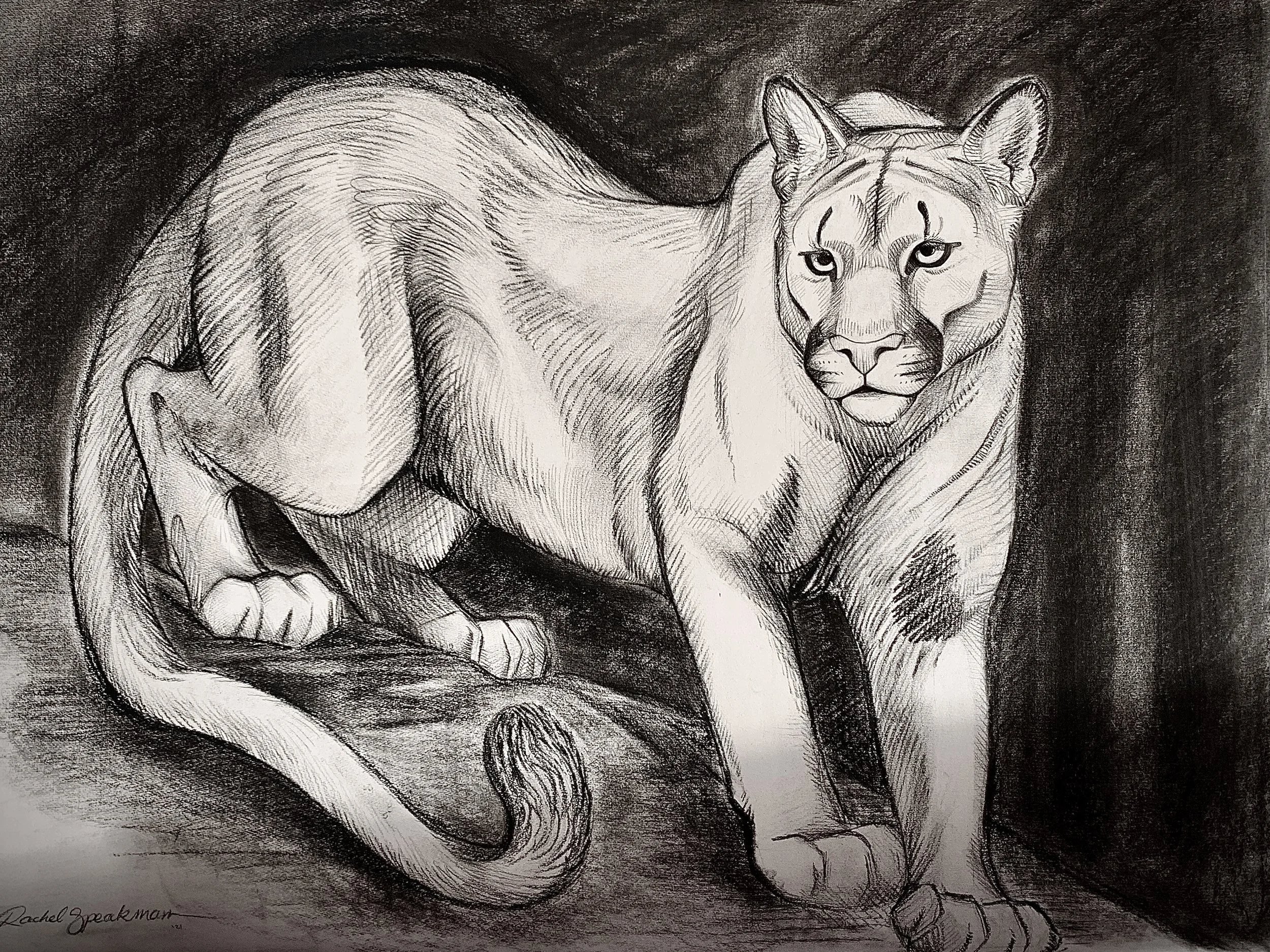 Charcoal on paper *Comes framed*