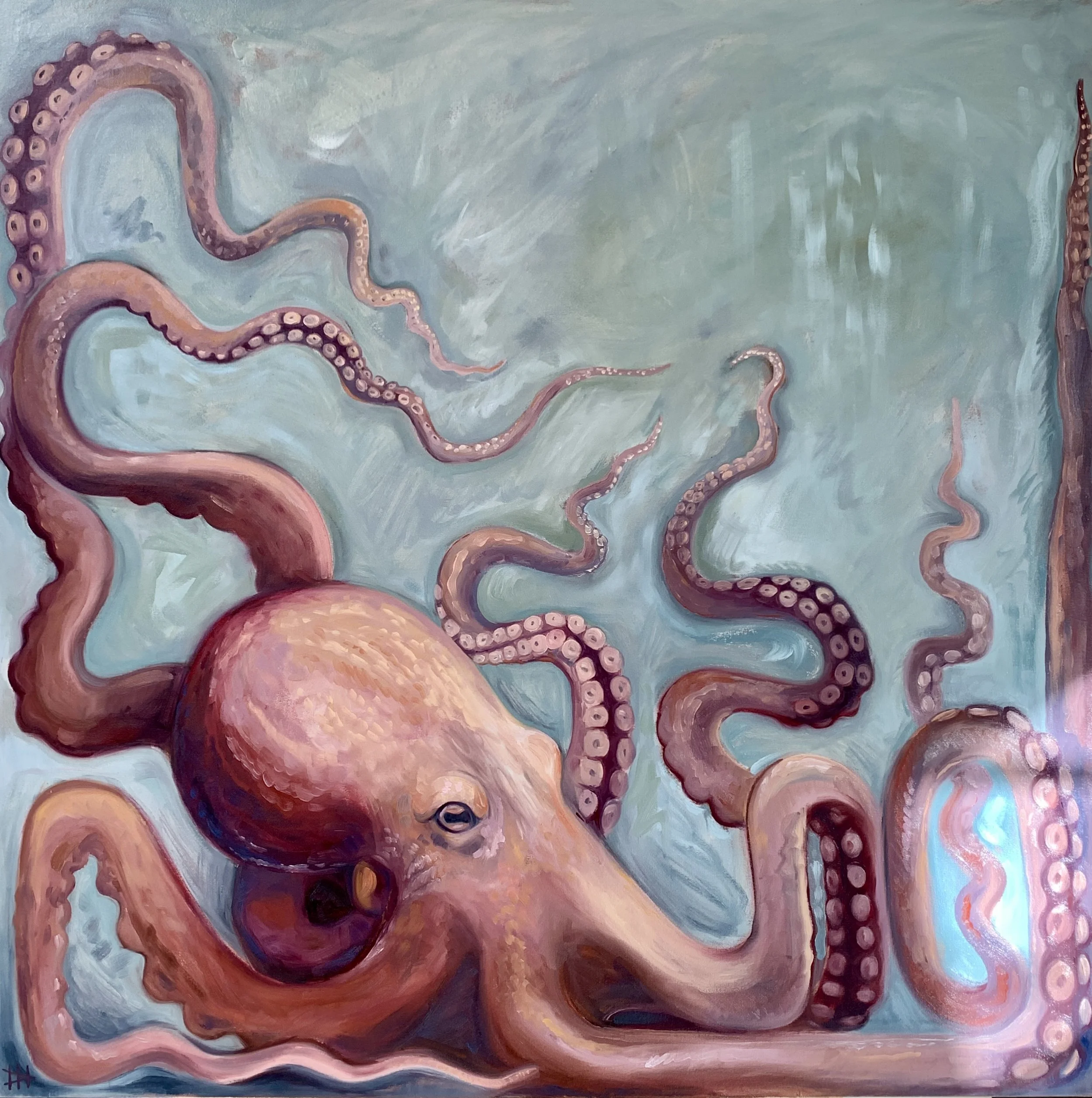 36"x36" Giant Octopus