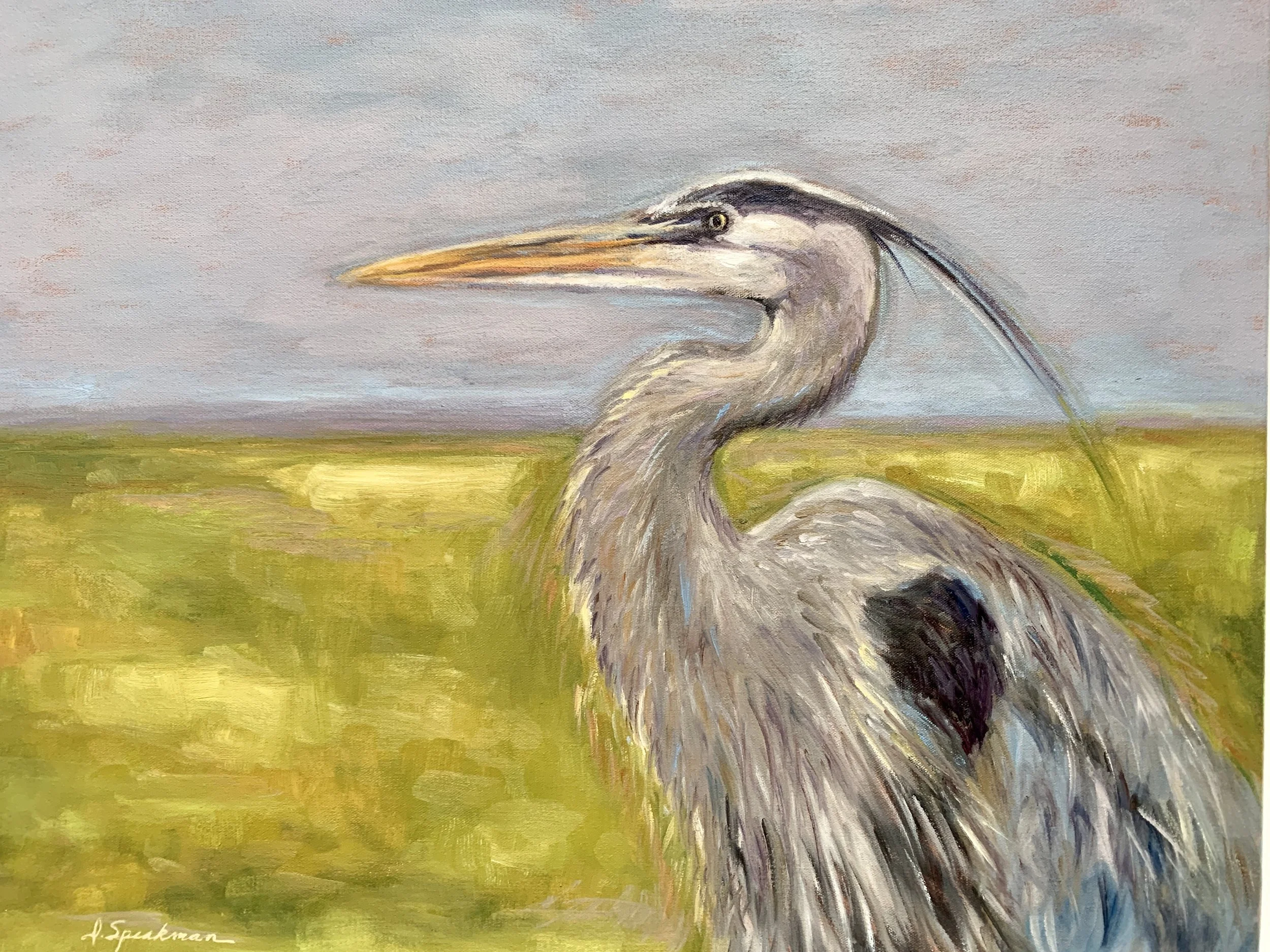 Blue Heron, Diane Speakman.jpg