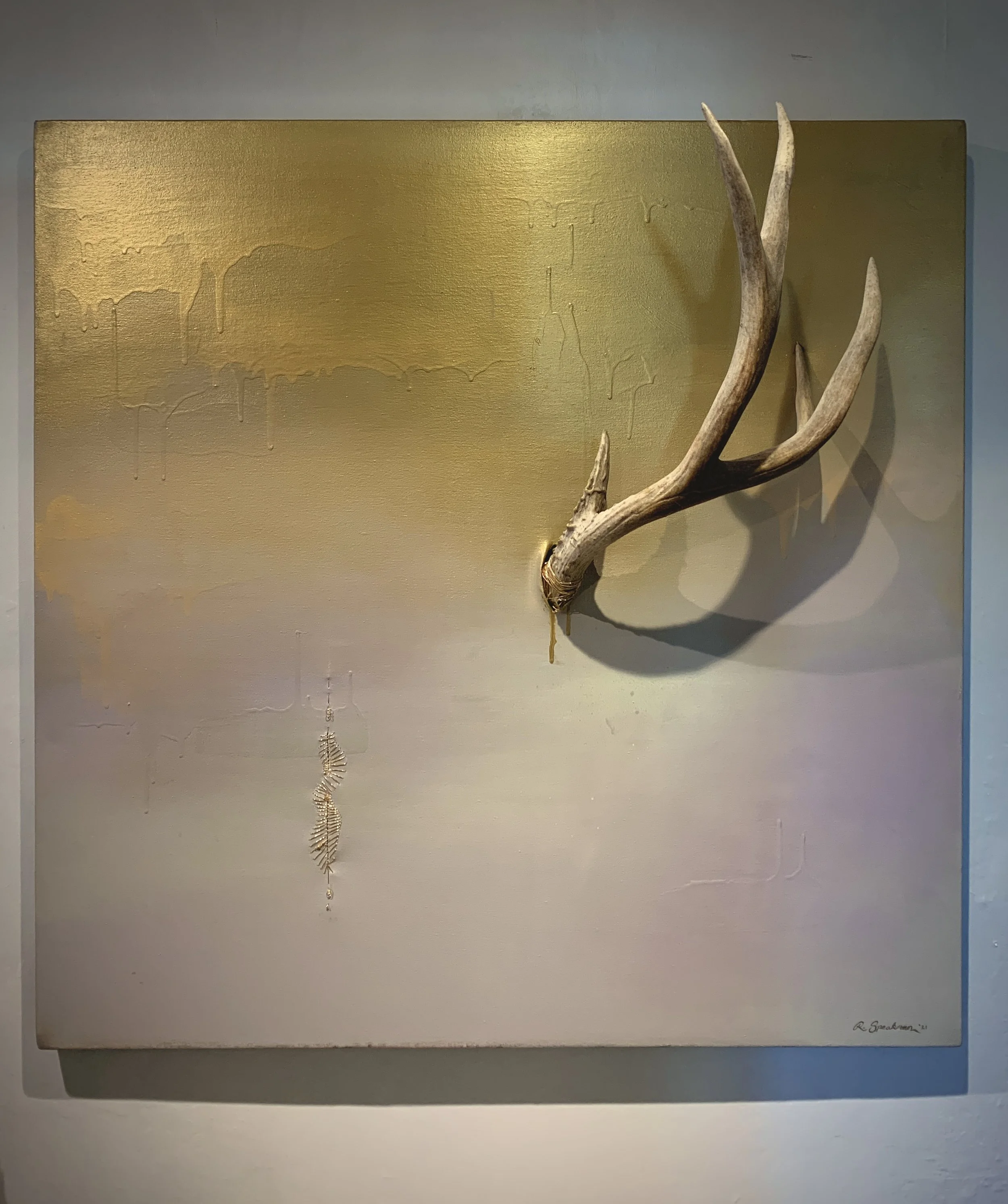 36"x36" Antler Abstract 2