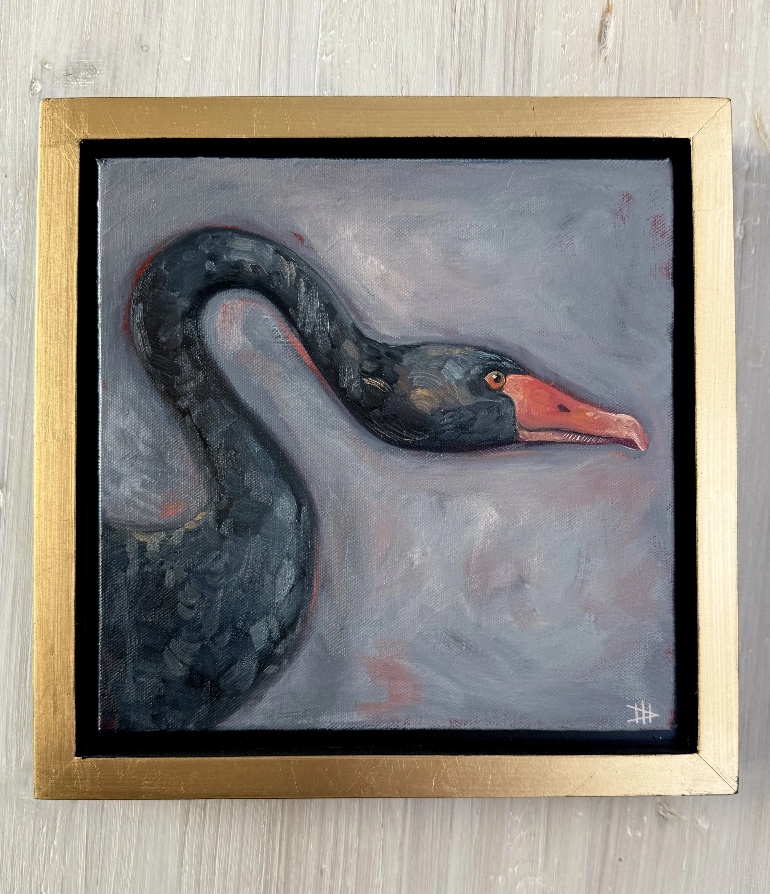 12"x12" "Black Swan Study"