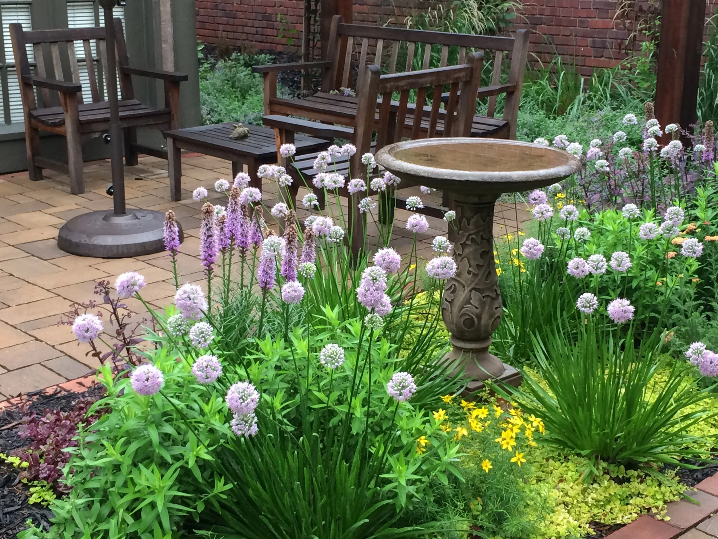 A backyard garden with a brick patio, wooden chairs, and a birdbath surrounded by purple and yellow flowers.