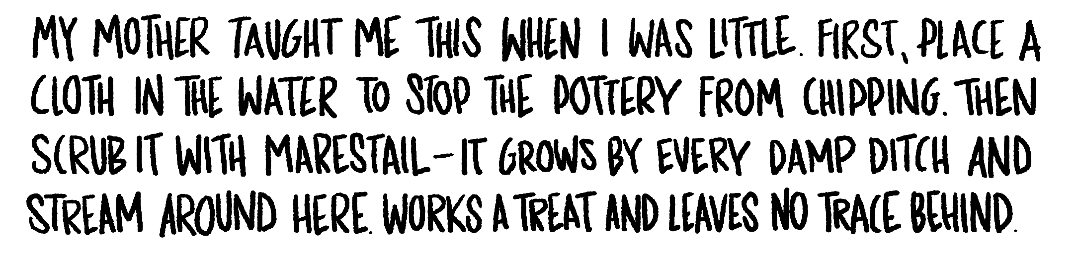 Handwritten text: My mother taught me this when I was little. First, place a cloth in the water to stop the pottery from chipping, Then scrub it with marestail - it grows by every damp ditch and stream around here. Works a treat and leaves no trace.
