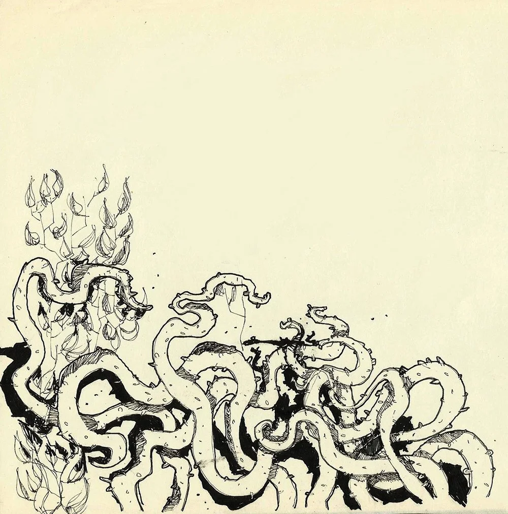 Drawing of multiple octopus arms, some with suckers, arranged at the bottom of the image, with a bunch of aerodynamically shaped feathers or leaves on the upper left side.