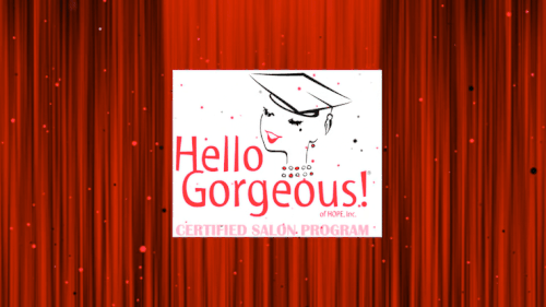 Professional Salon Program